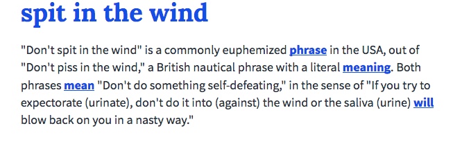 spit in the wind.jpeg