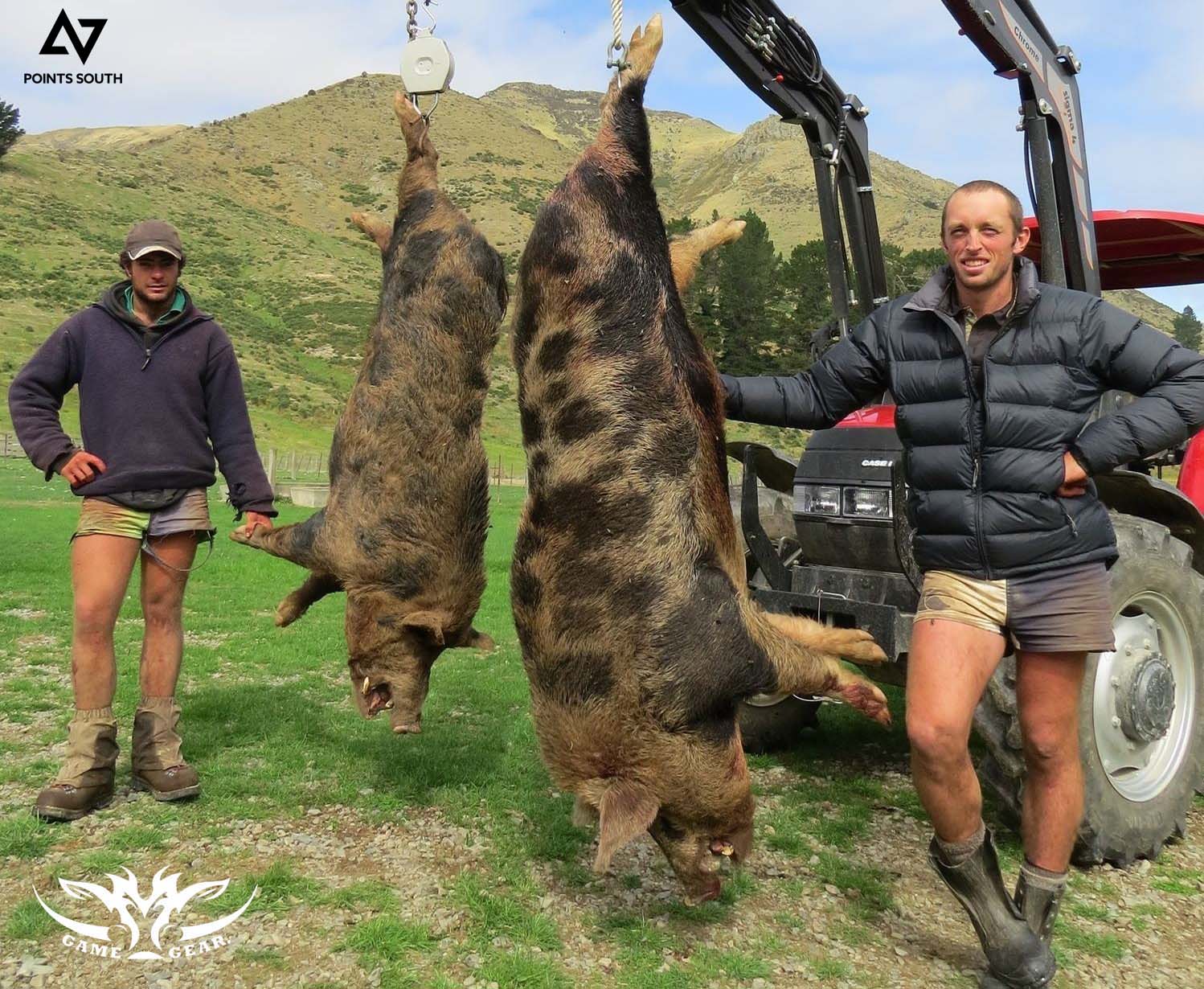 Dan Keys (left) and Ryan Carr (right) with their 270lb and 348lb monster boars.