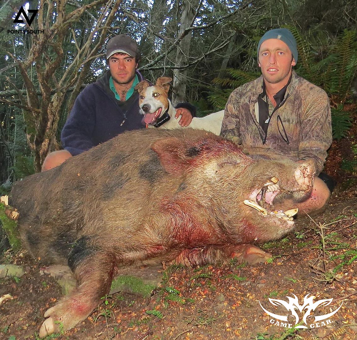 Dan Keys and Ryan Carr with their first pig of the morning