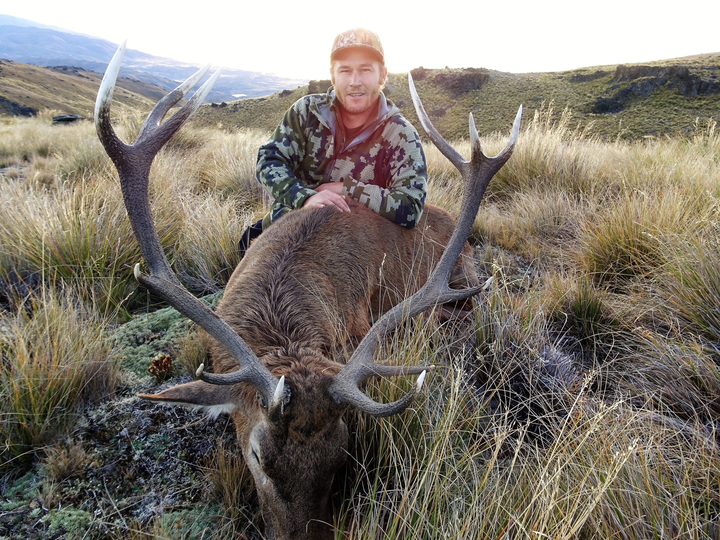 12 point stag