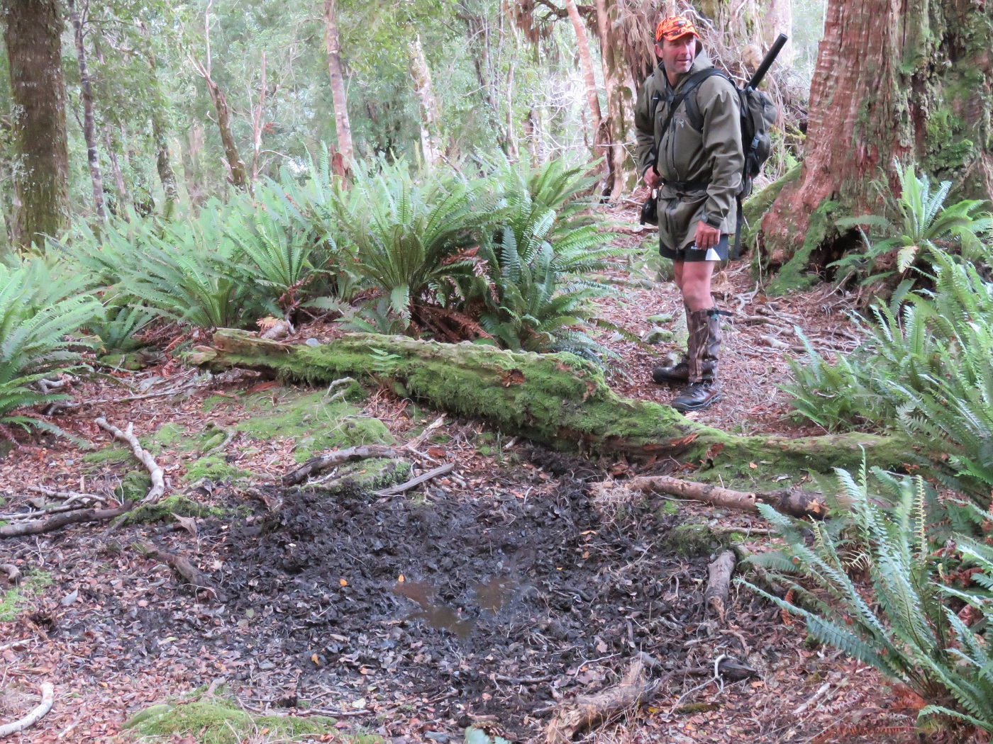   Brent Lewis reckons there is a stag somewhere nearby.  