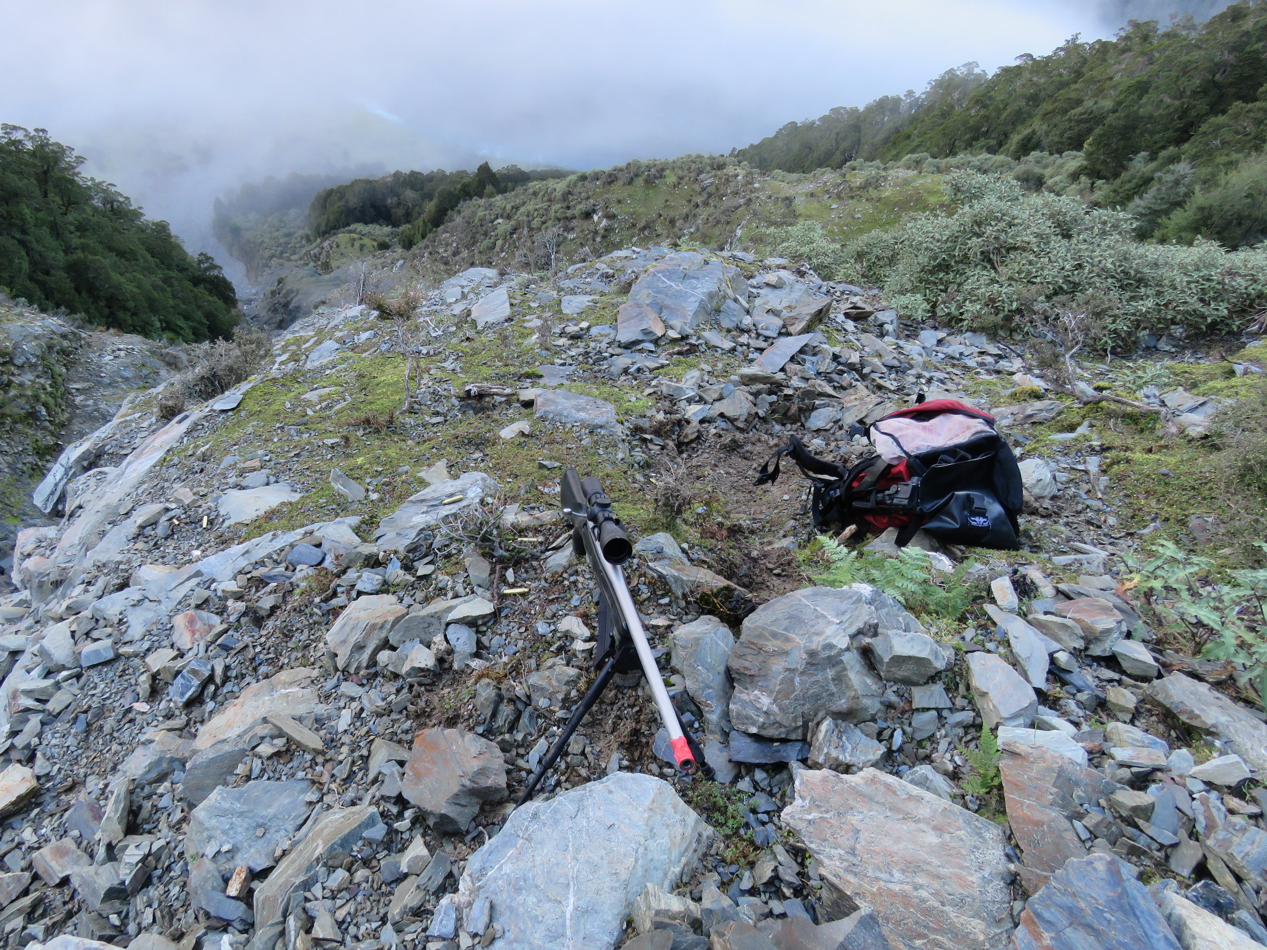  A pile of brass after culling a few nannies just above 