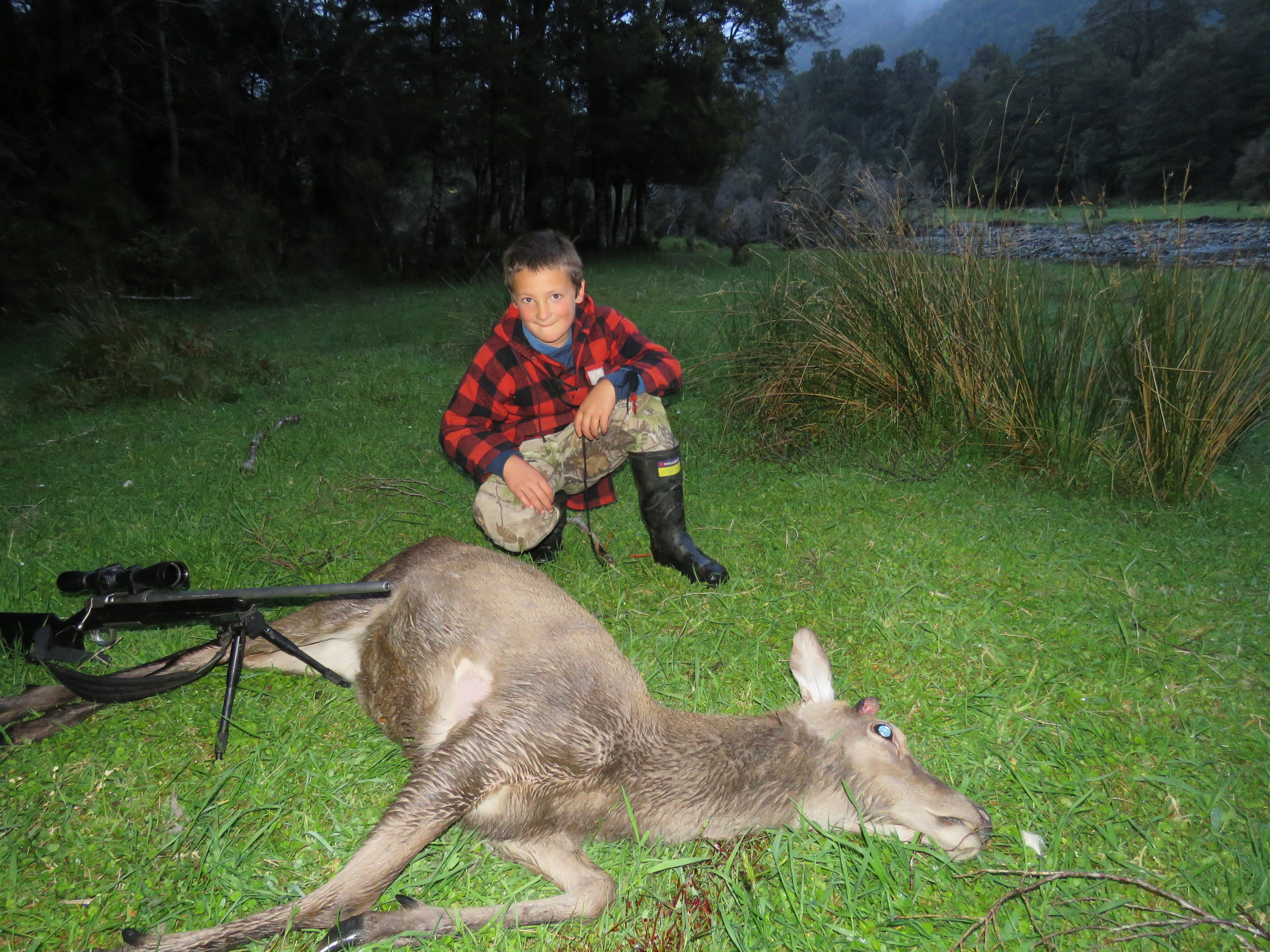 George Monk with the yearling red deer, caught out on the Spring growth late in the evening.