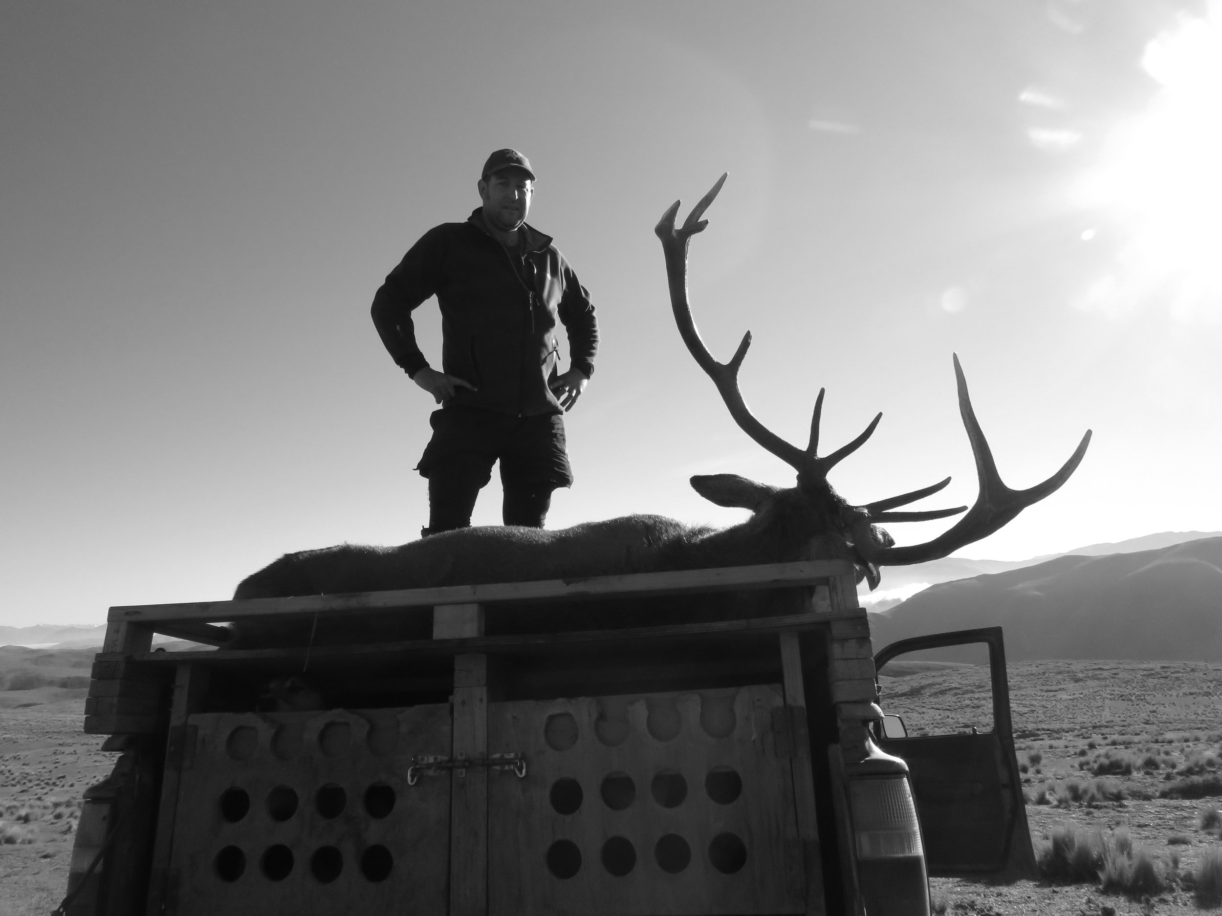 Sparky's whole stag loaded onto the back of the Hilux.