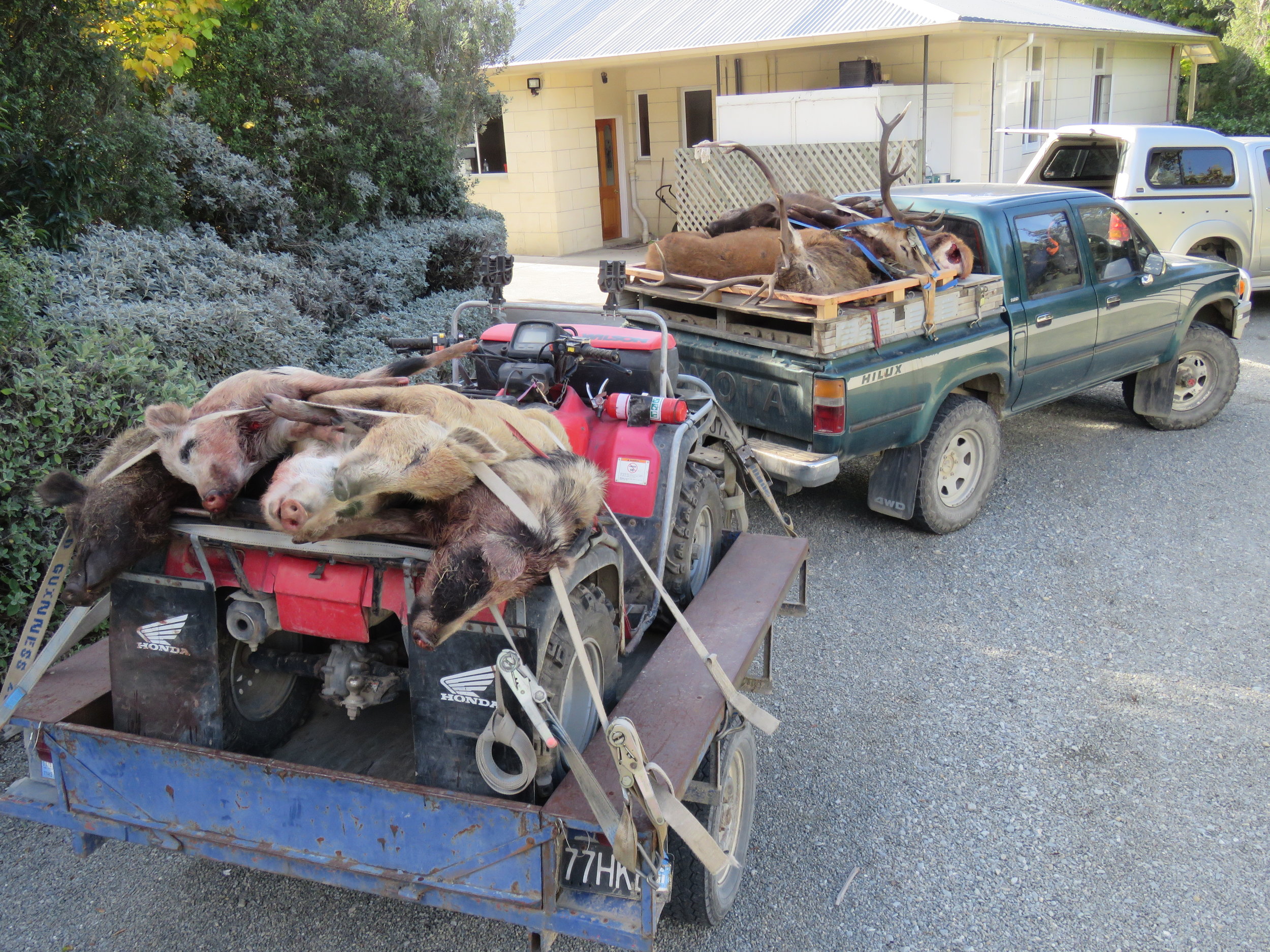  Heading home with a hell of a load for the poor old 2.8 Hilux 