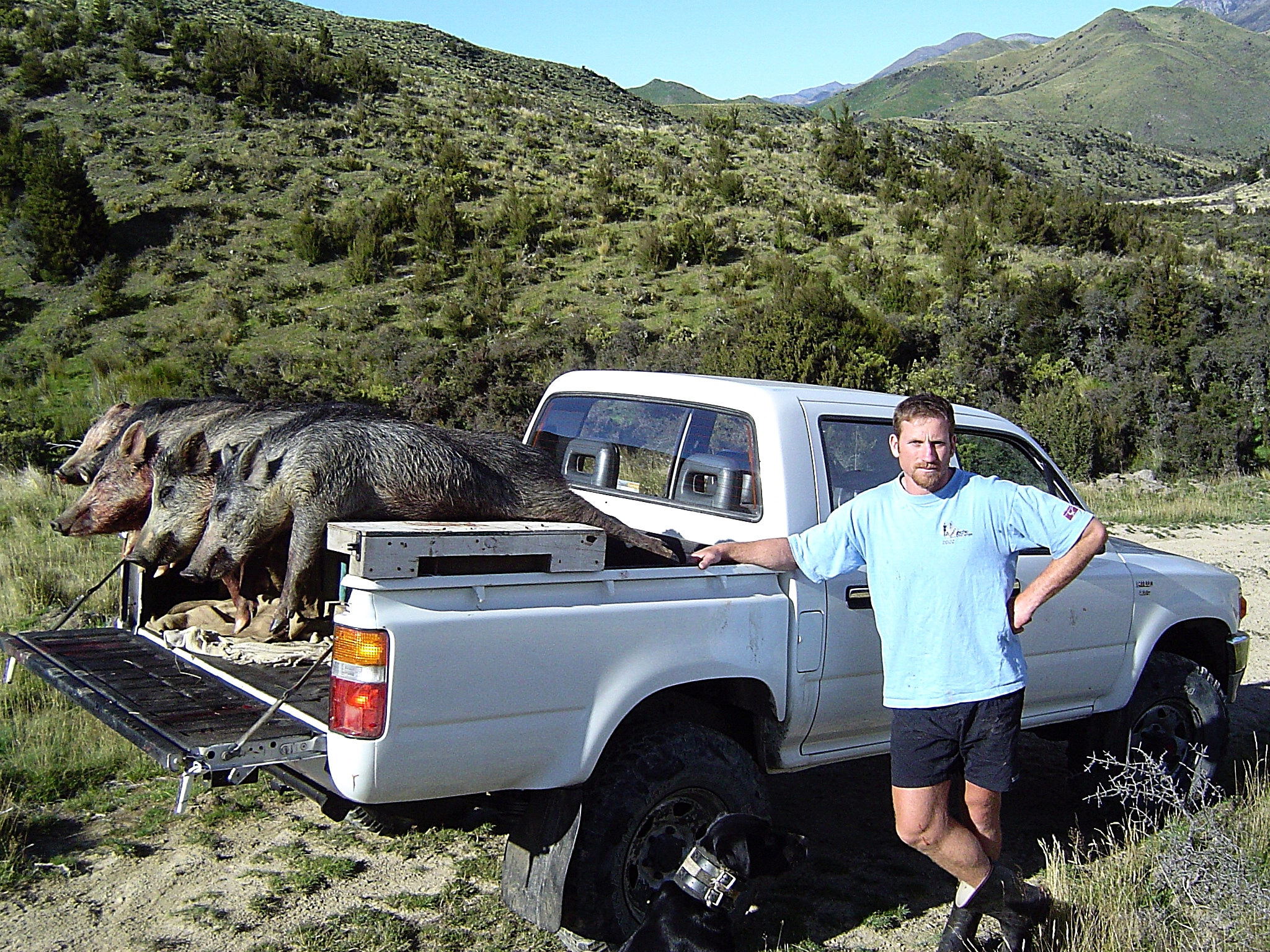 toyota hilux pig hunting shaun monk