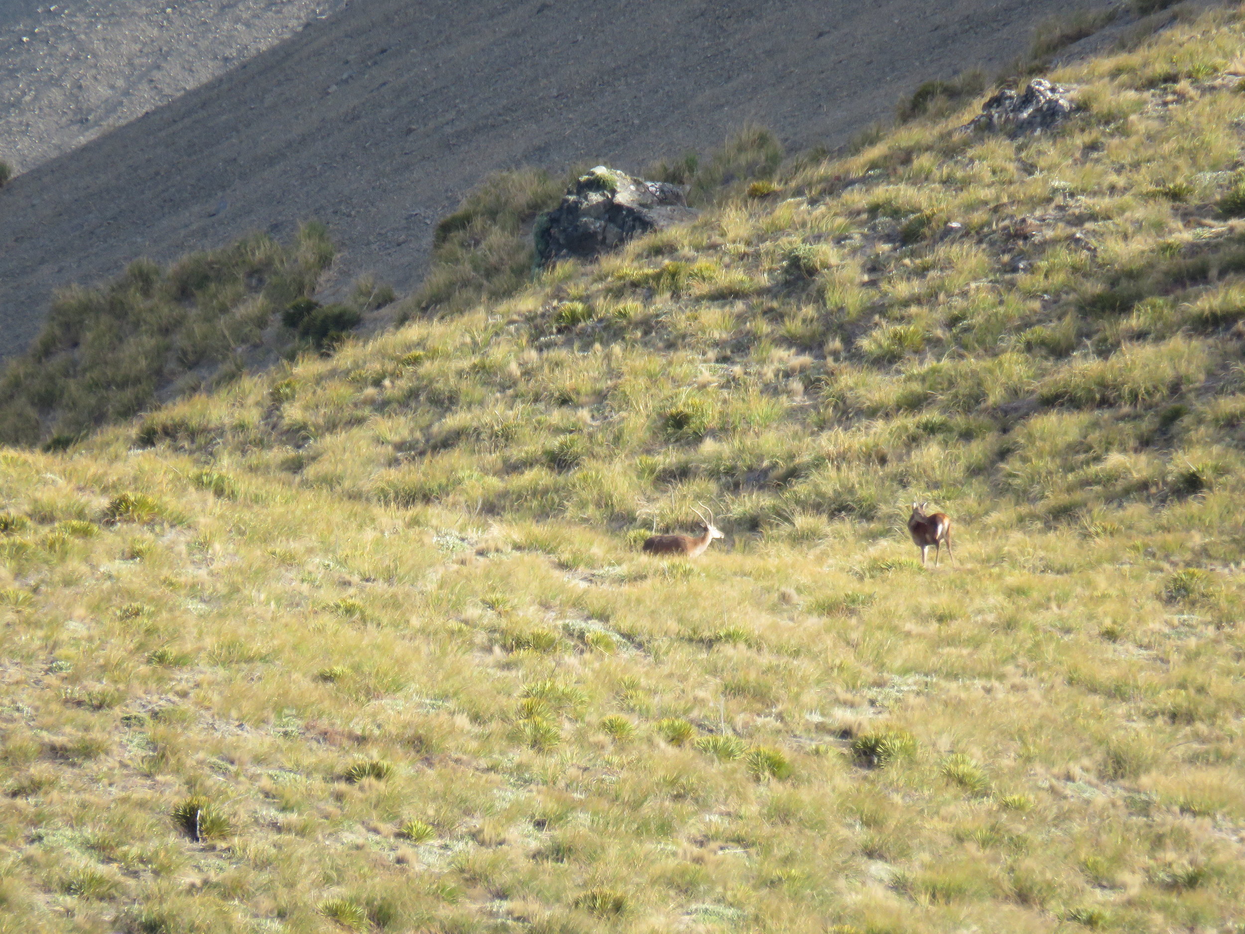 A couple of spikers off in the distance.