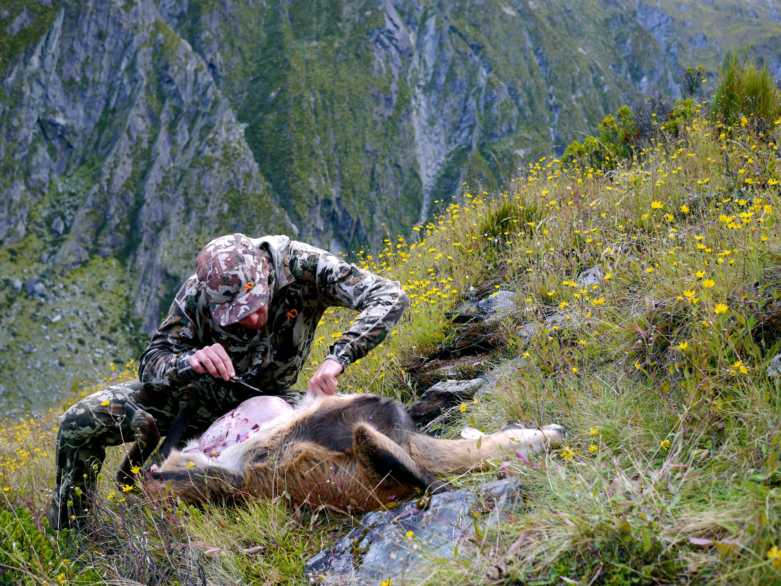 Skinning and gutting a chamois Image @ Firstlite