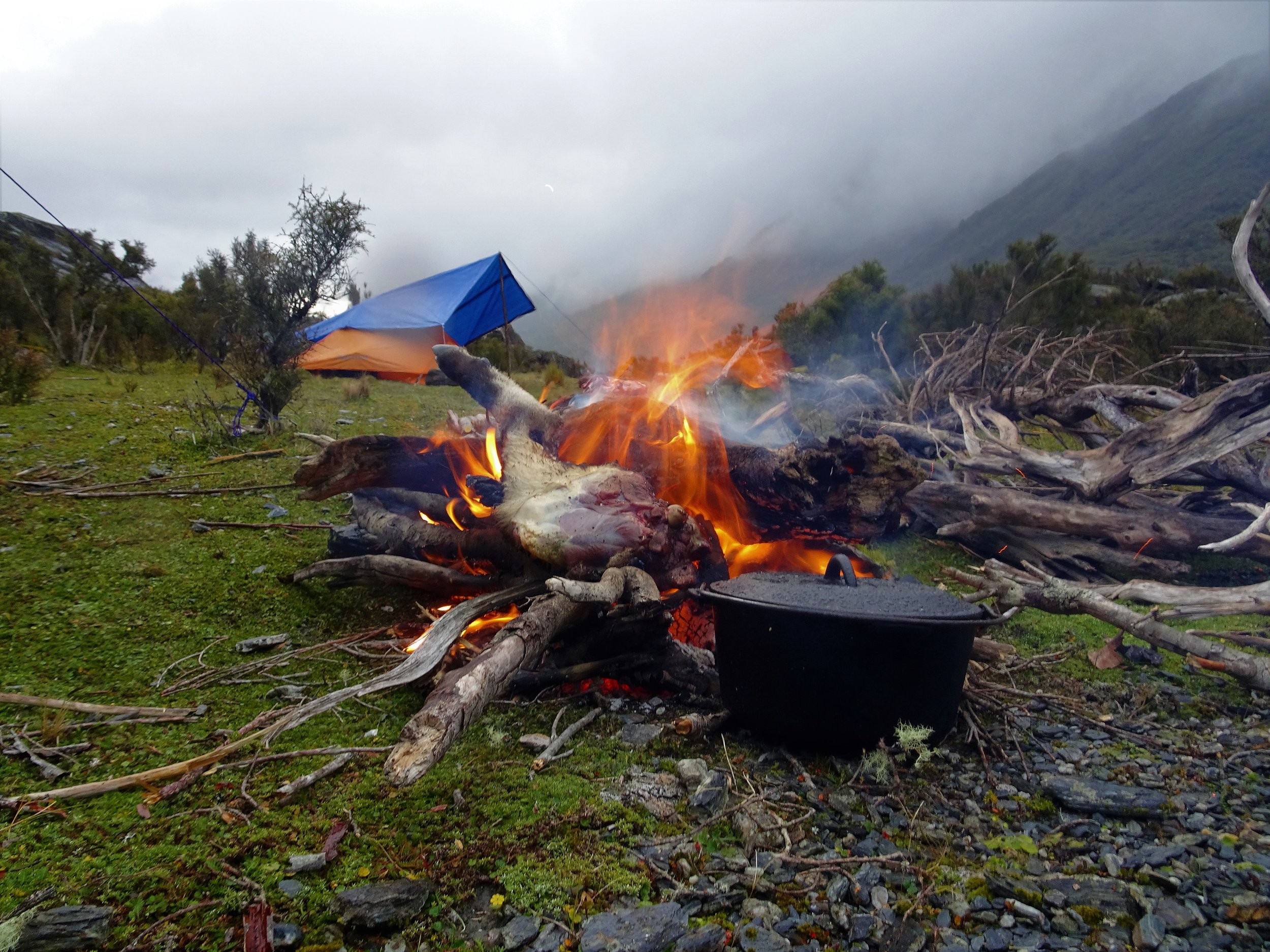 cooking a leg of tahr on the open fire