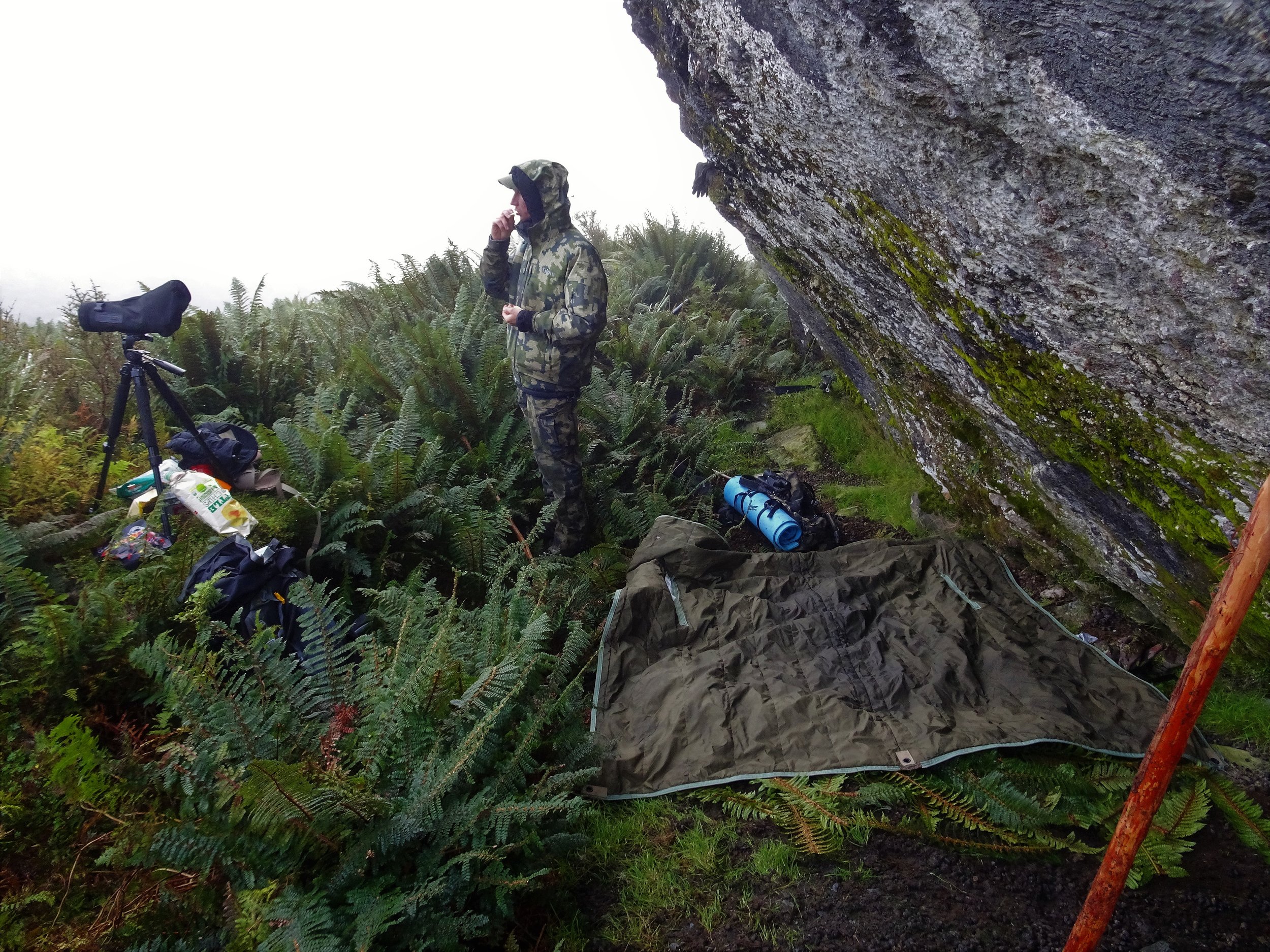 Home for the night, once we had scraped out all the tahr shit and layed down a bunch of ferns.