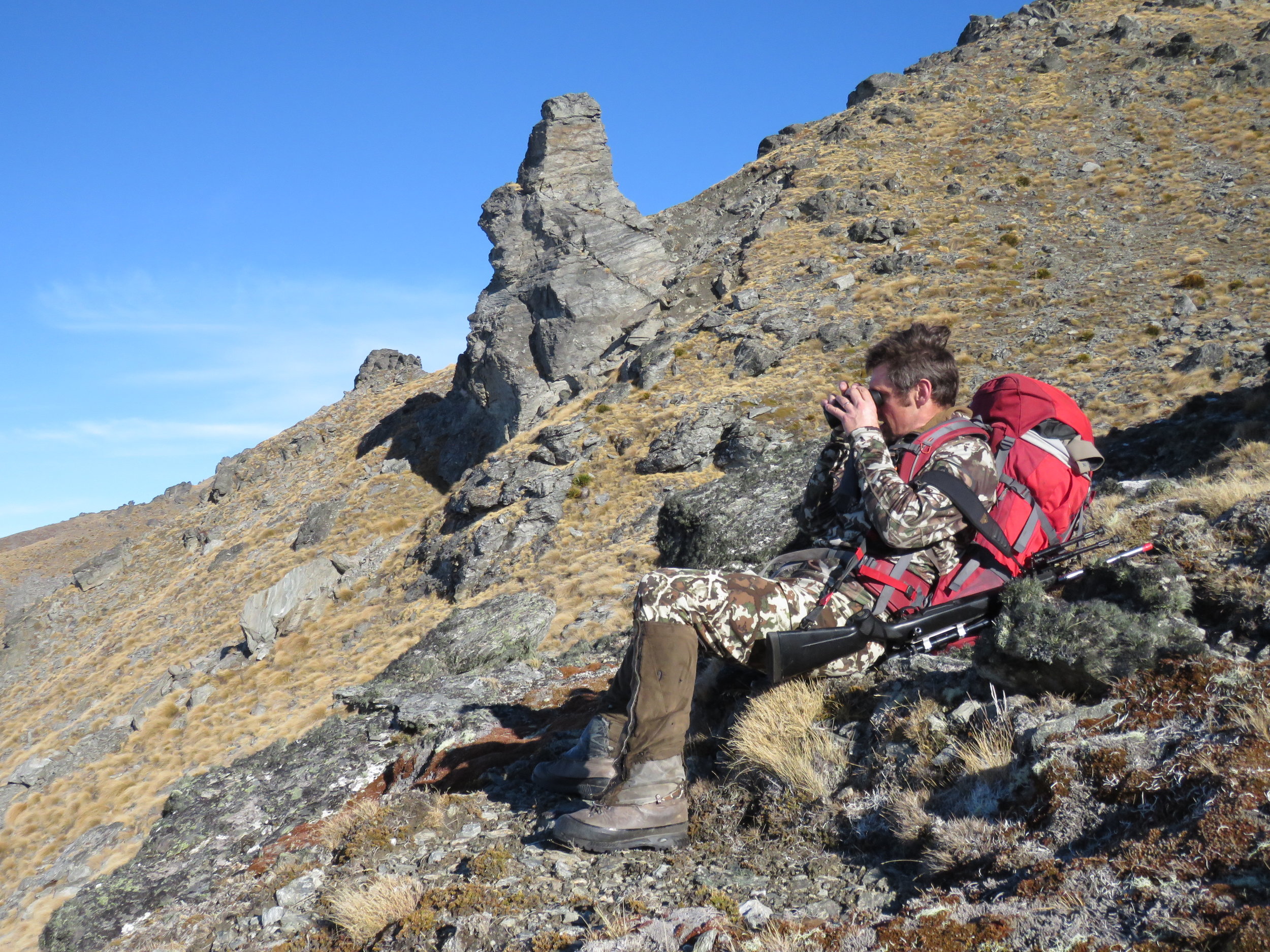 chief glassing for chamois