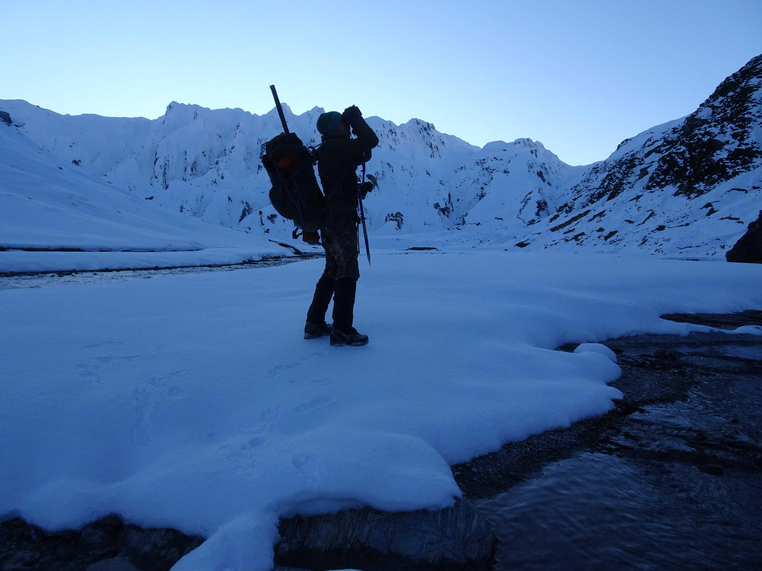 glassing for tahr in the snow