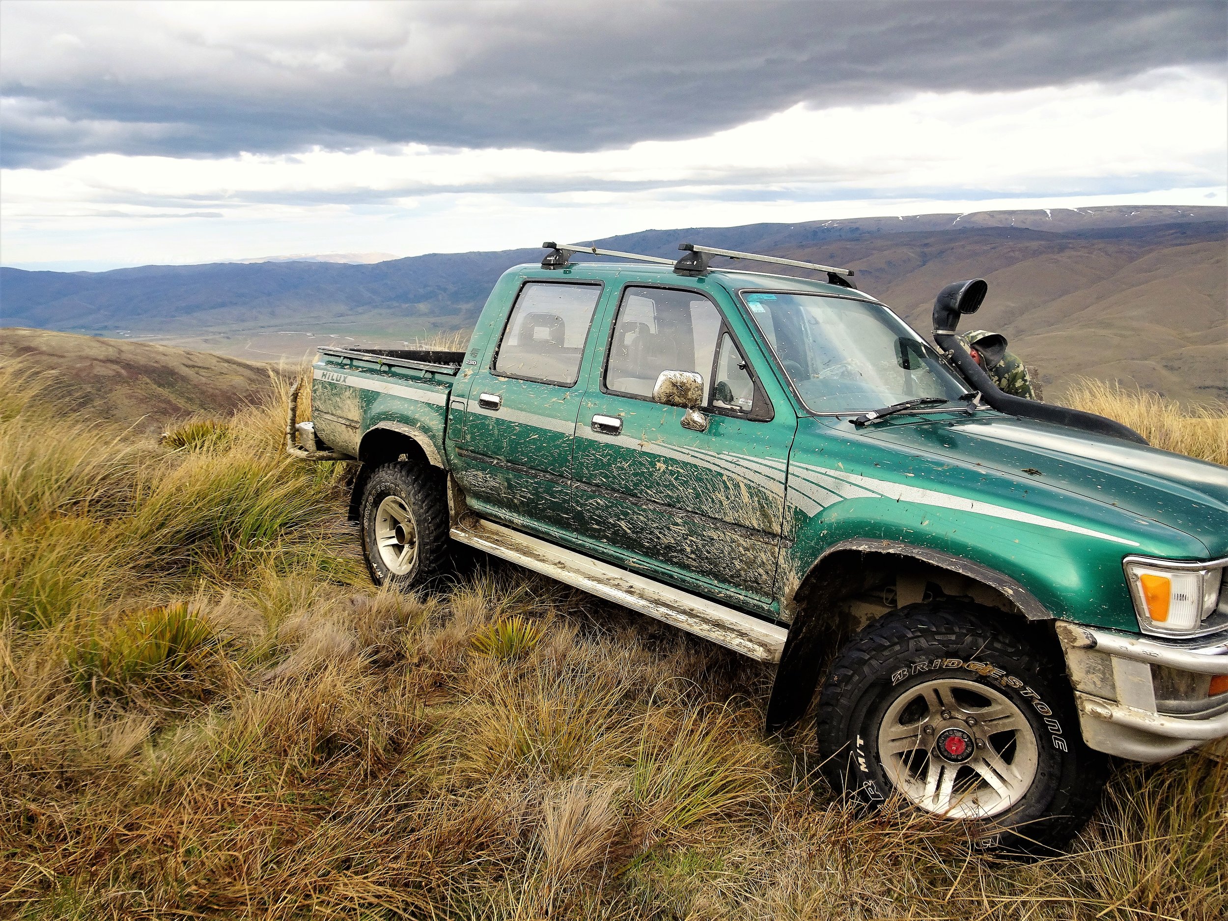 toyota hilux high in the tussocks of otago