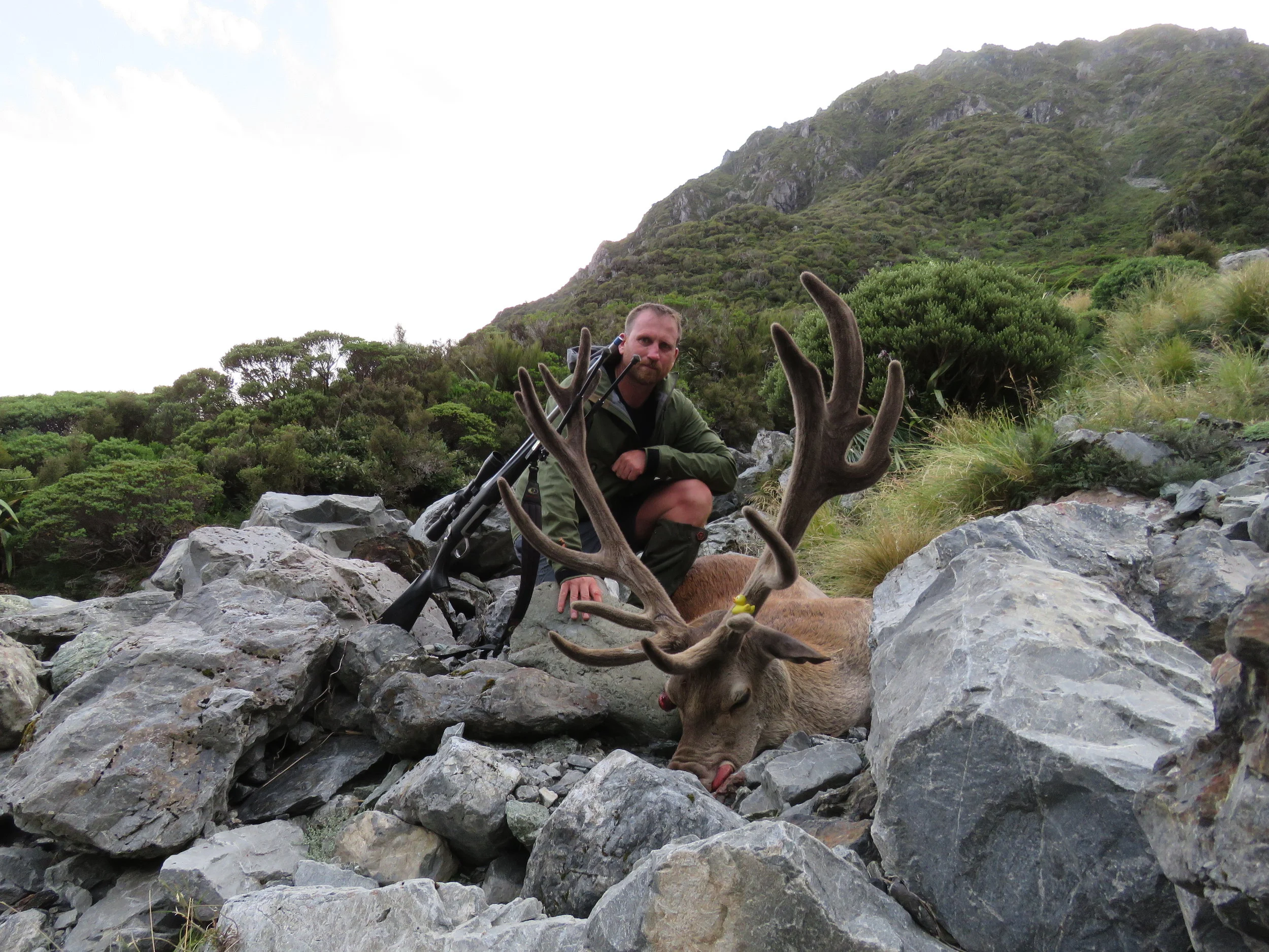 Big Ole Donks off the Main Divide – Points South Shop