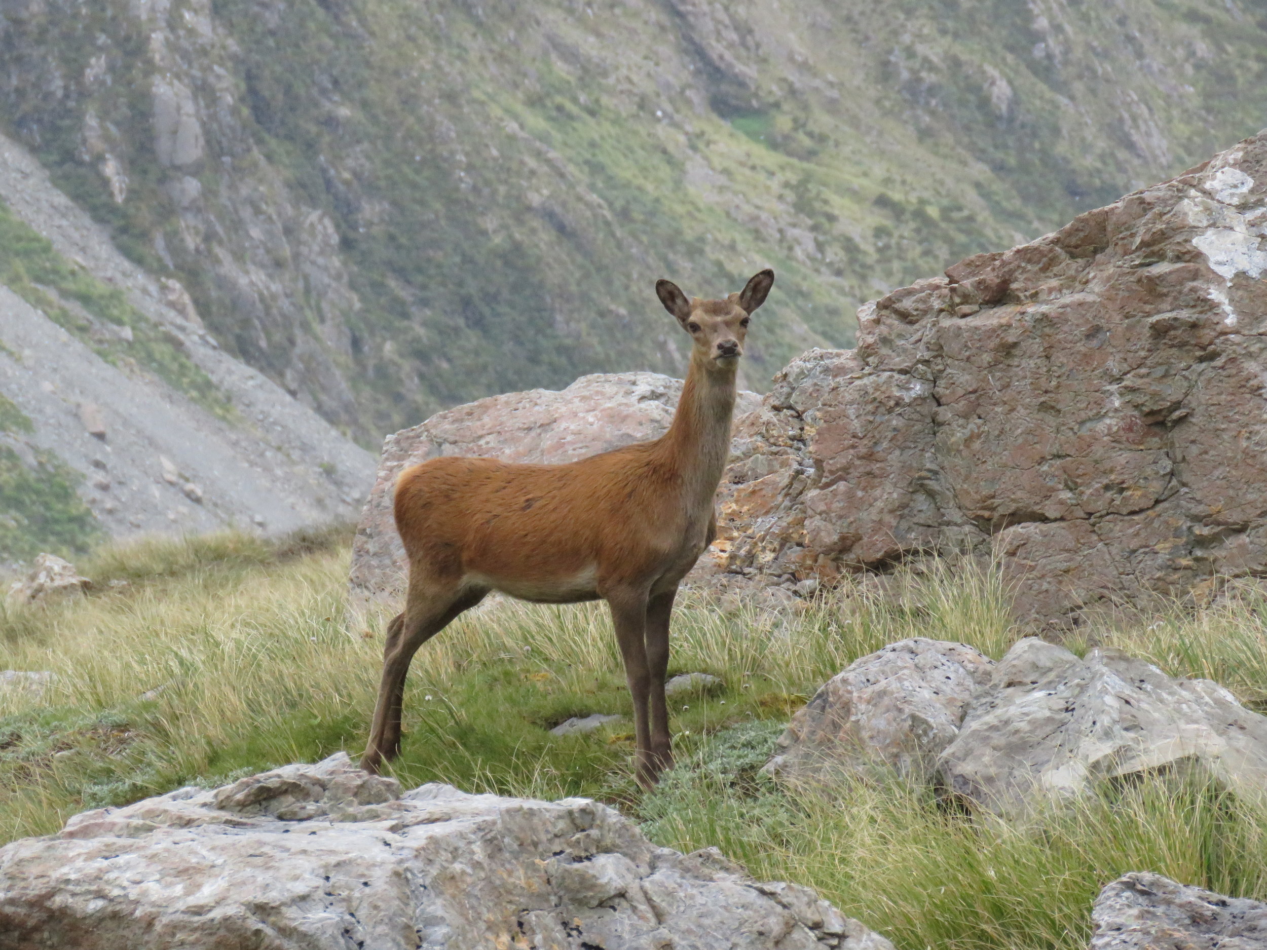A lone nobby that Richie got very close to.