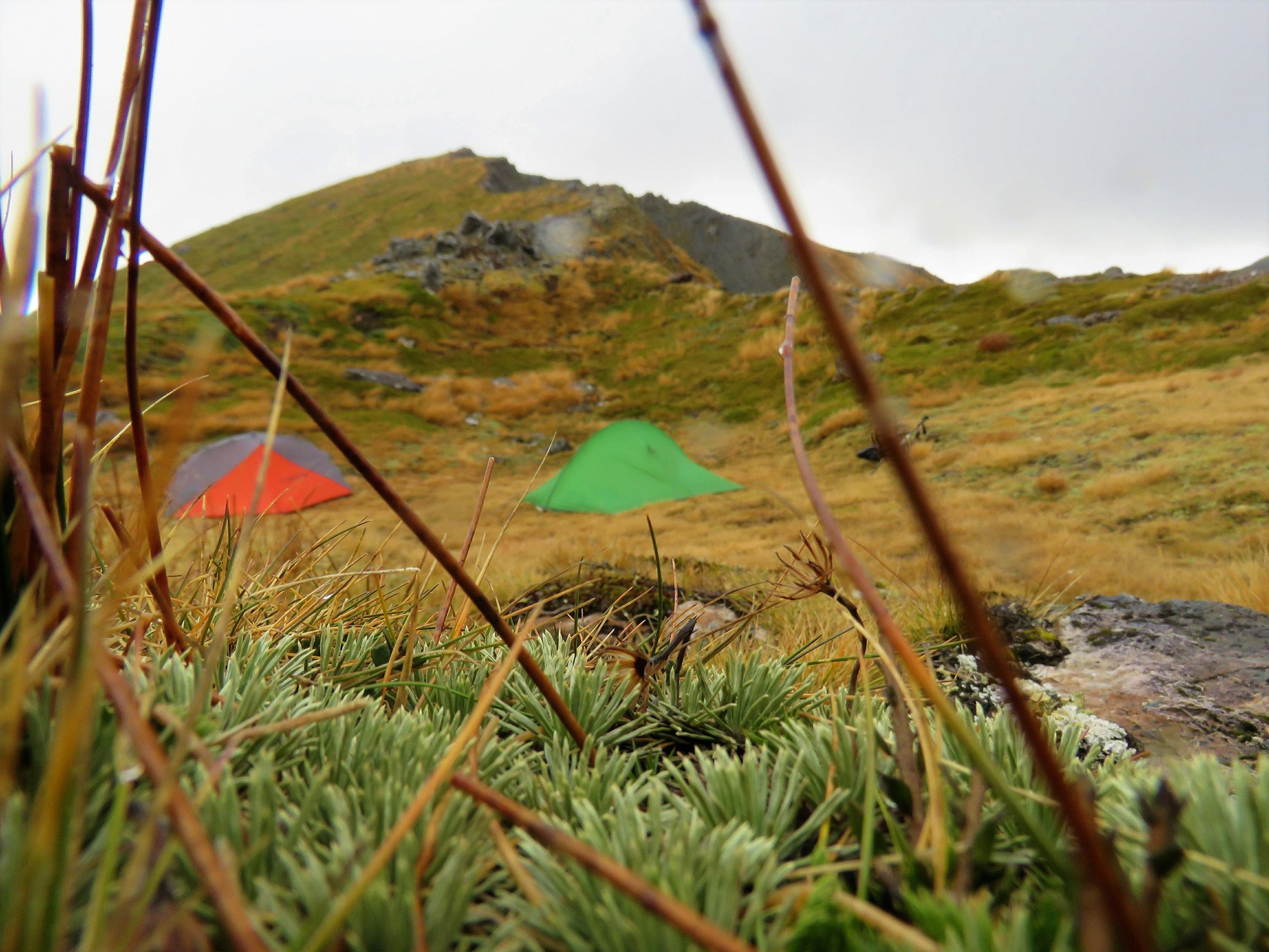 our camp in the saddle