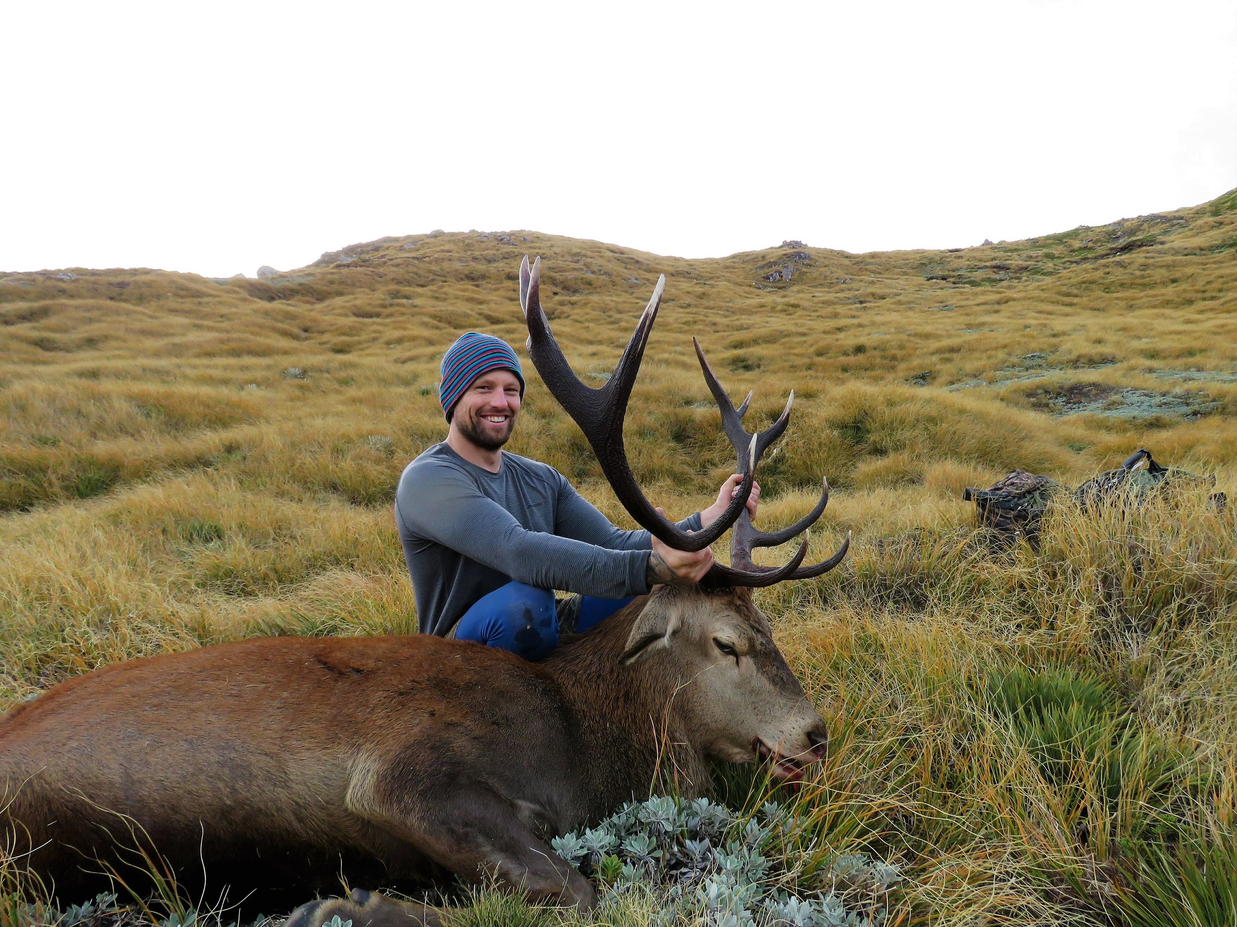  Dream result with a great new zealand high country stag