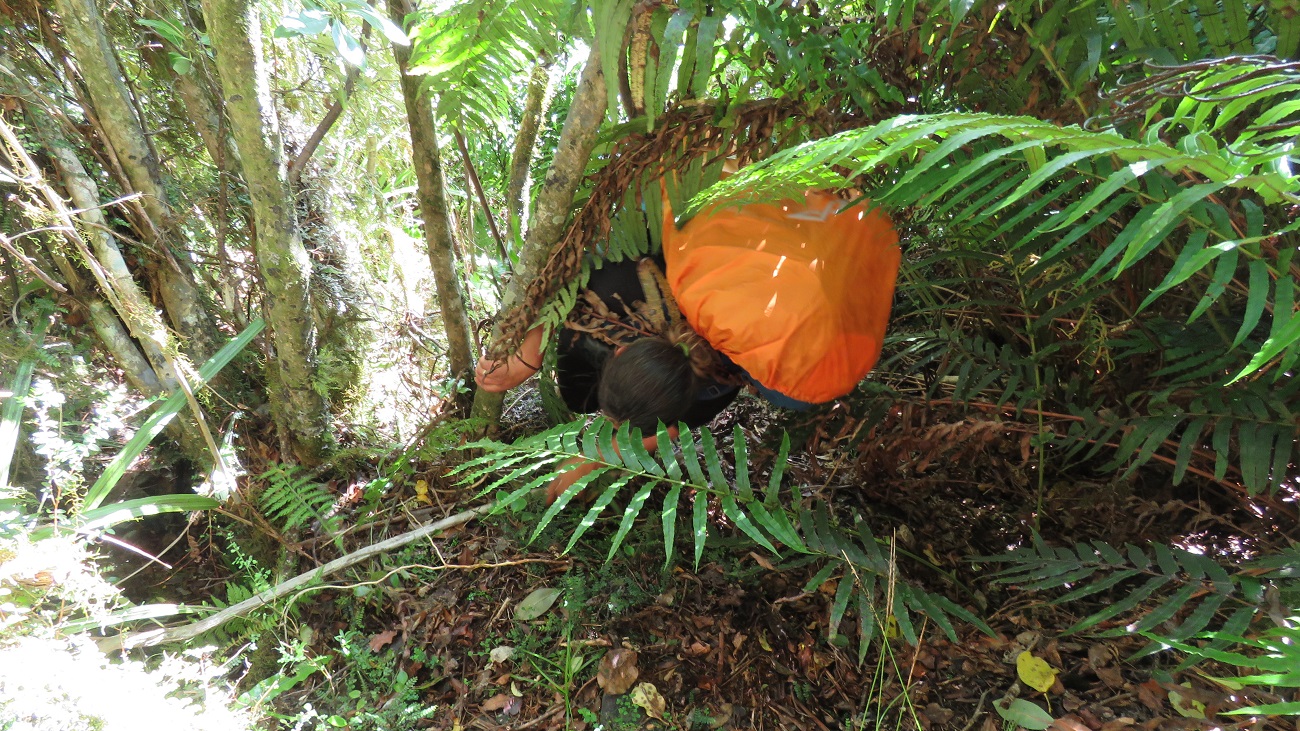 Climbing around missing track sections is just all part of the trek up the Waitaha.