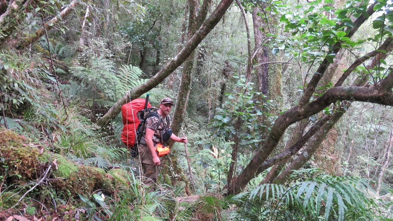 Following the track route up the Waitaha requires a fair bit of attention.