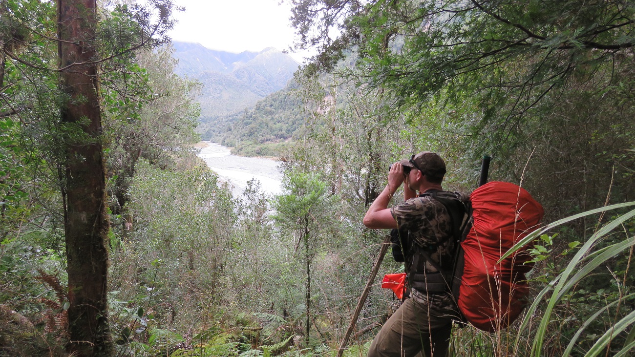 Five hours later and we reached Kiwi Flat. This area had very little deer sign, we heard just one single roar on the way up the valley and there were prints of a hind and yearling on the flats, but minimal sign of regular browsing.