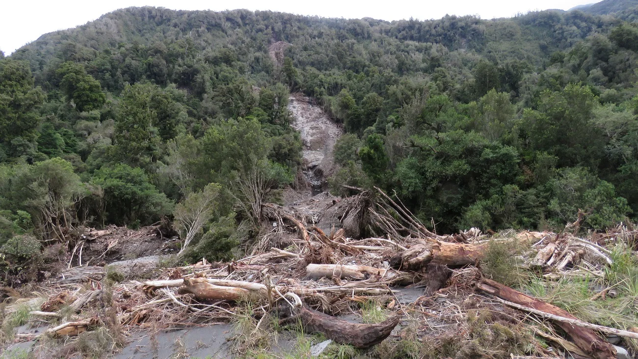 The enormous flood from a couple of weeks earlier had generated many new slips. The broadleaf trees washed down on to Kiwi Flat had not been visited by deer at all.