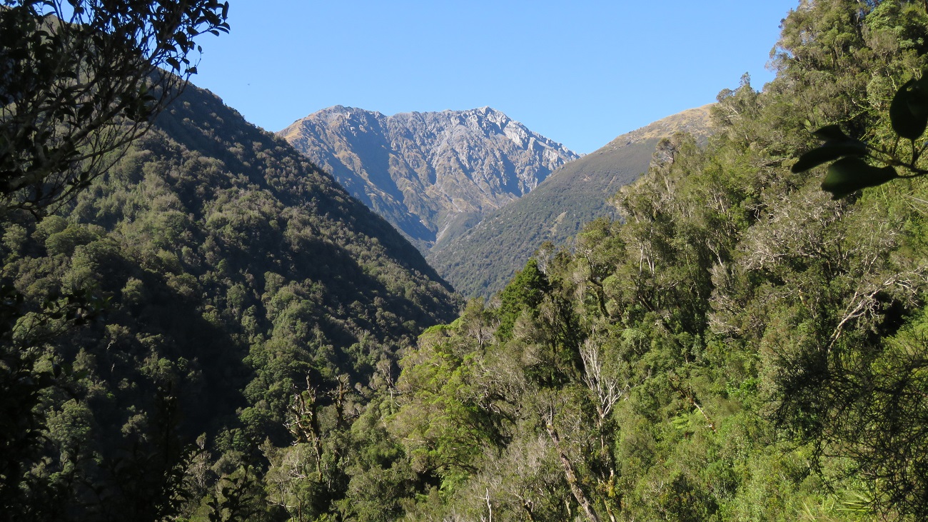 Looking up the Waitaha, with our destination well beyond what we could see from here.