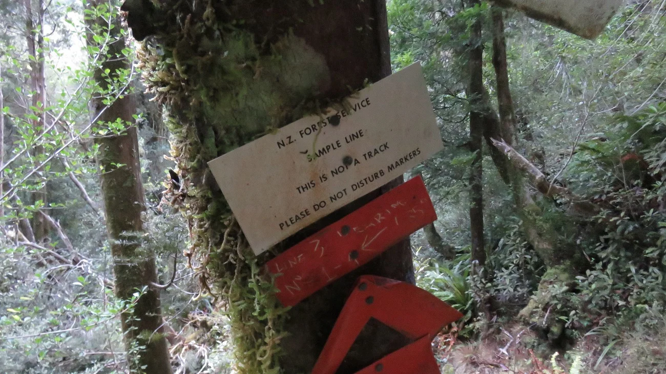  “This is not a track”, the historic signage has a lot of hidden meaning abut what is to come. 