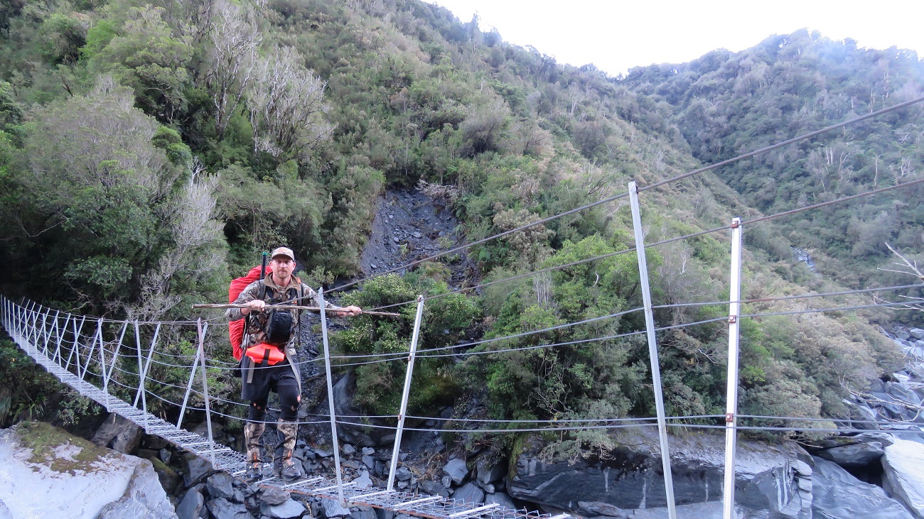  Crossing the swing bridge before the junction of County stream. The Waitaha track climbs sharply after this crossing to get you up and over the thundering Windhover Gorge. 