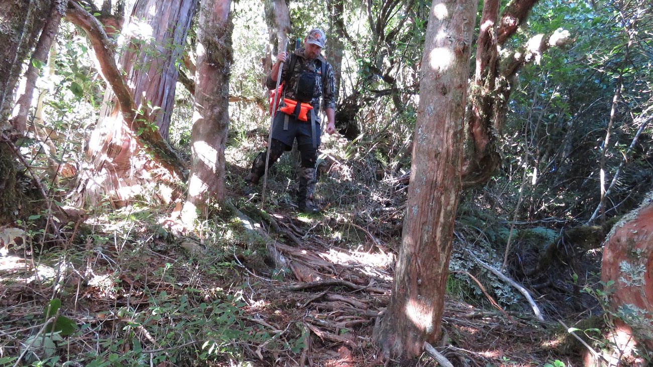 Dropping down steeply into the Chainman Creek.