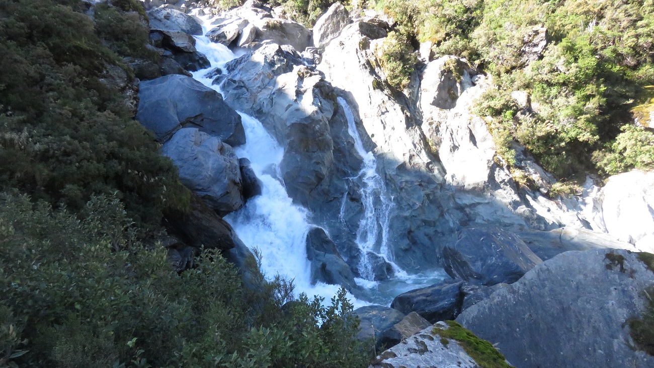 Bashing through the thick sub-alpine scrub is the only option to get around some sections of the river.