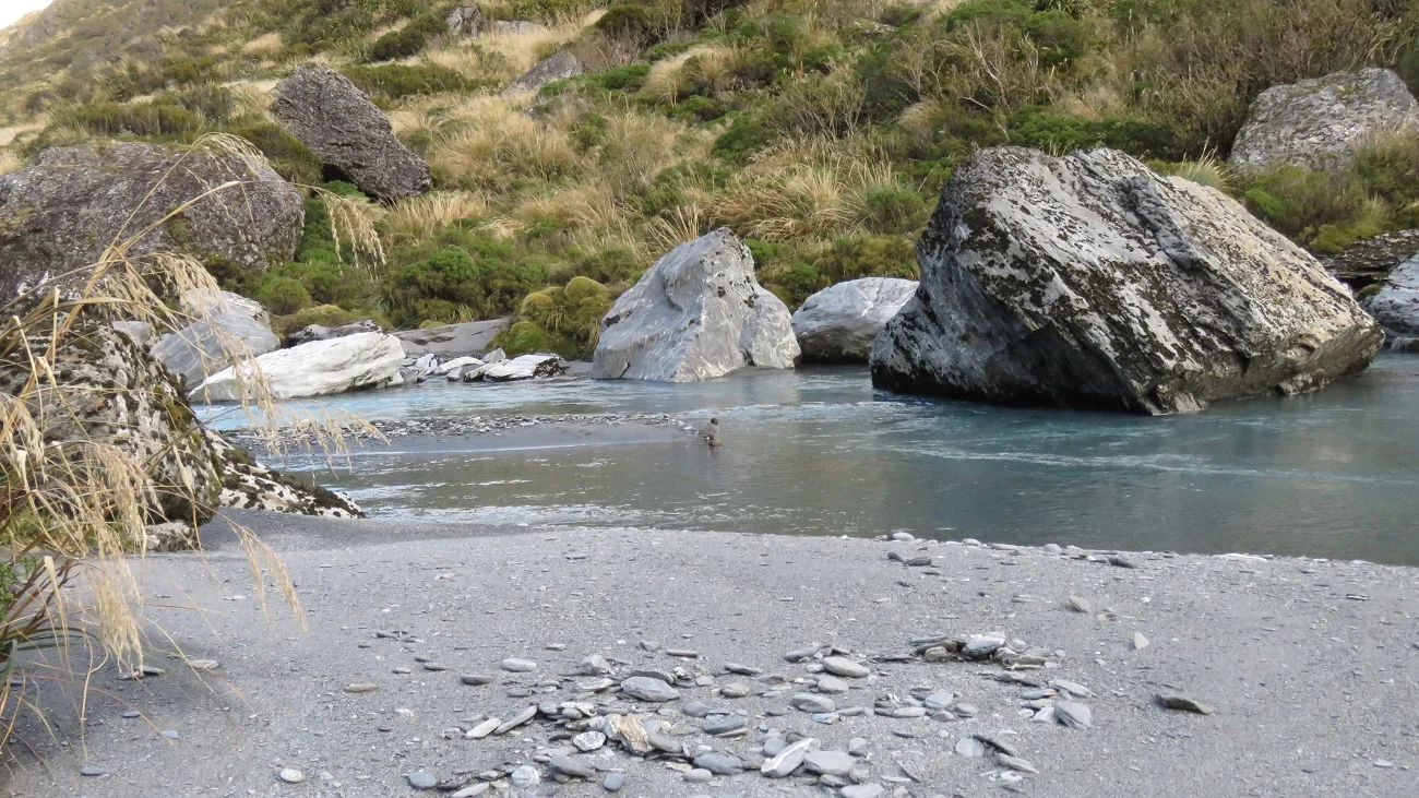 Another pair of blue ducks, calmer water and some tussock signals the flattening into the head of the Waitaha Valley, but don’t be fooled that it is easy going from here. 