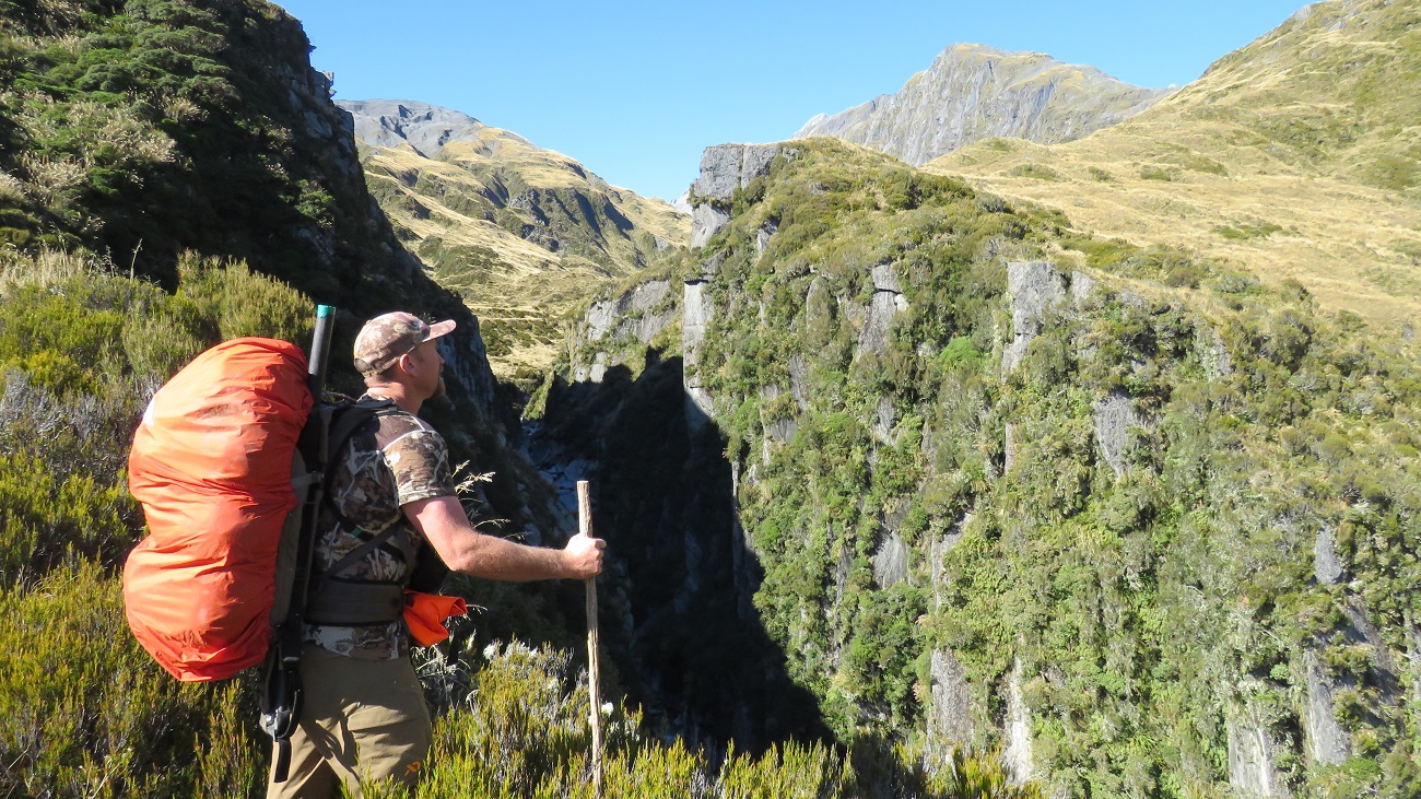 Looking over the Reid Creek chasm at the head of the Waitaha was an awe inspiring place, especially in such perfect weather. I was pleased to be carrying a home made Lancewood hill stick, it definitely helped prevent slips and saved my dickie knee from excess swelling.