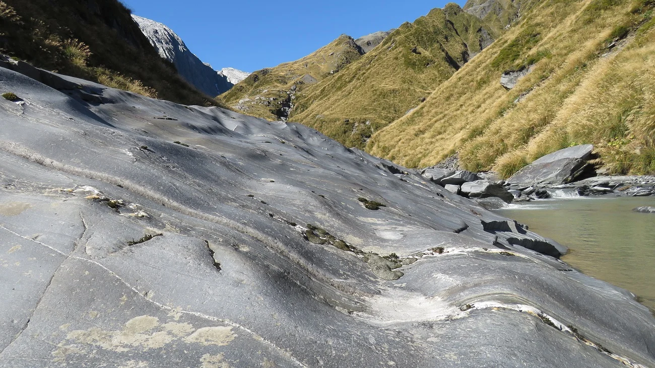 We started to see a bit of Chamois and Tahr sign in the upper Stag Creek.