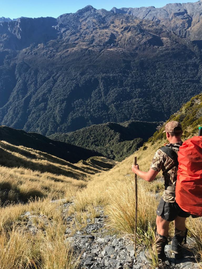 The snakey ridge below marks the Steadman Brow acess route, a nicely cut track. The entry to the track at the bushline is incorrectly marked on topomap and is in fact a good 100 meters to the NE. Take care on a cloudy day as it would be easy to drop down a false spur.