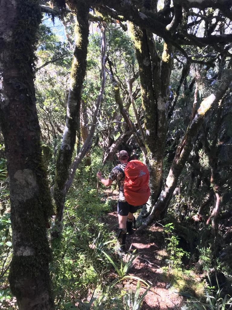  Heading down the marked track we heard a stag roar reasonably close by, so I stopped to give a few replies in the hope that he would be a roaming beast that would come wandering over to us. 