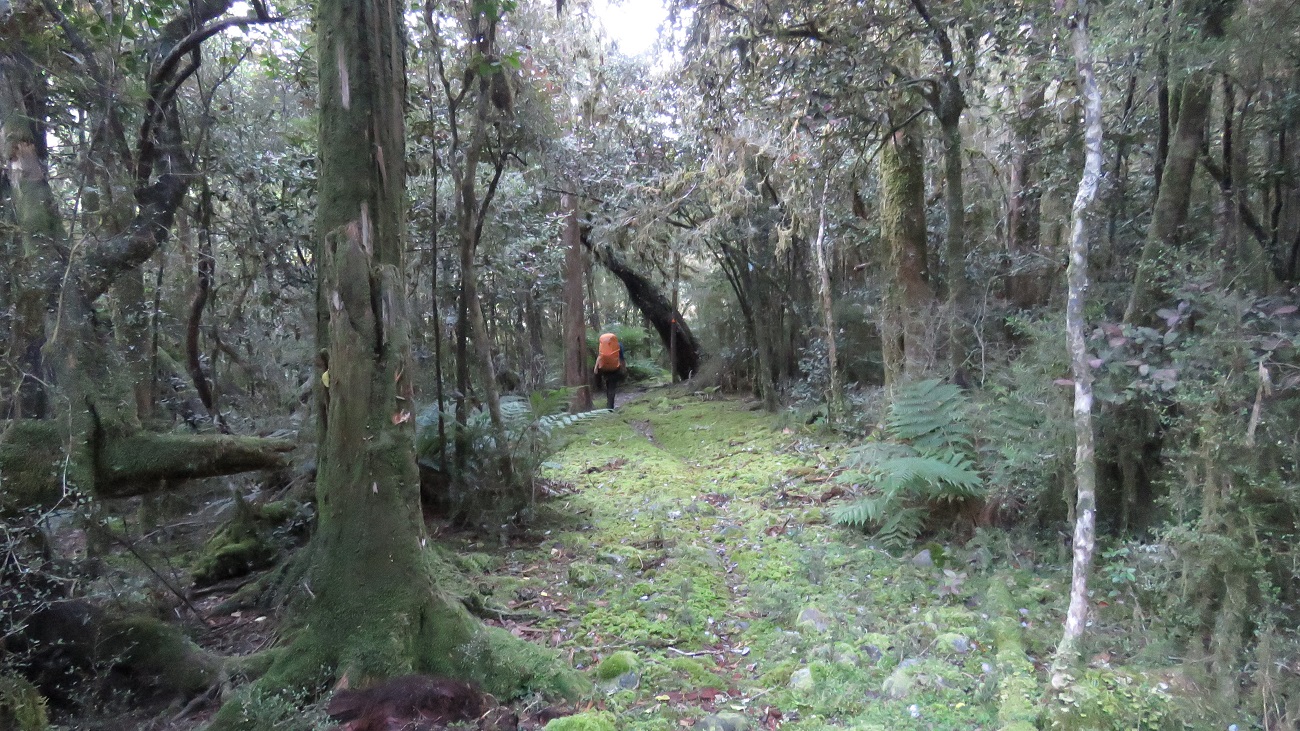 The Whitcombe Valley has a very good access track.