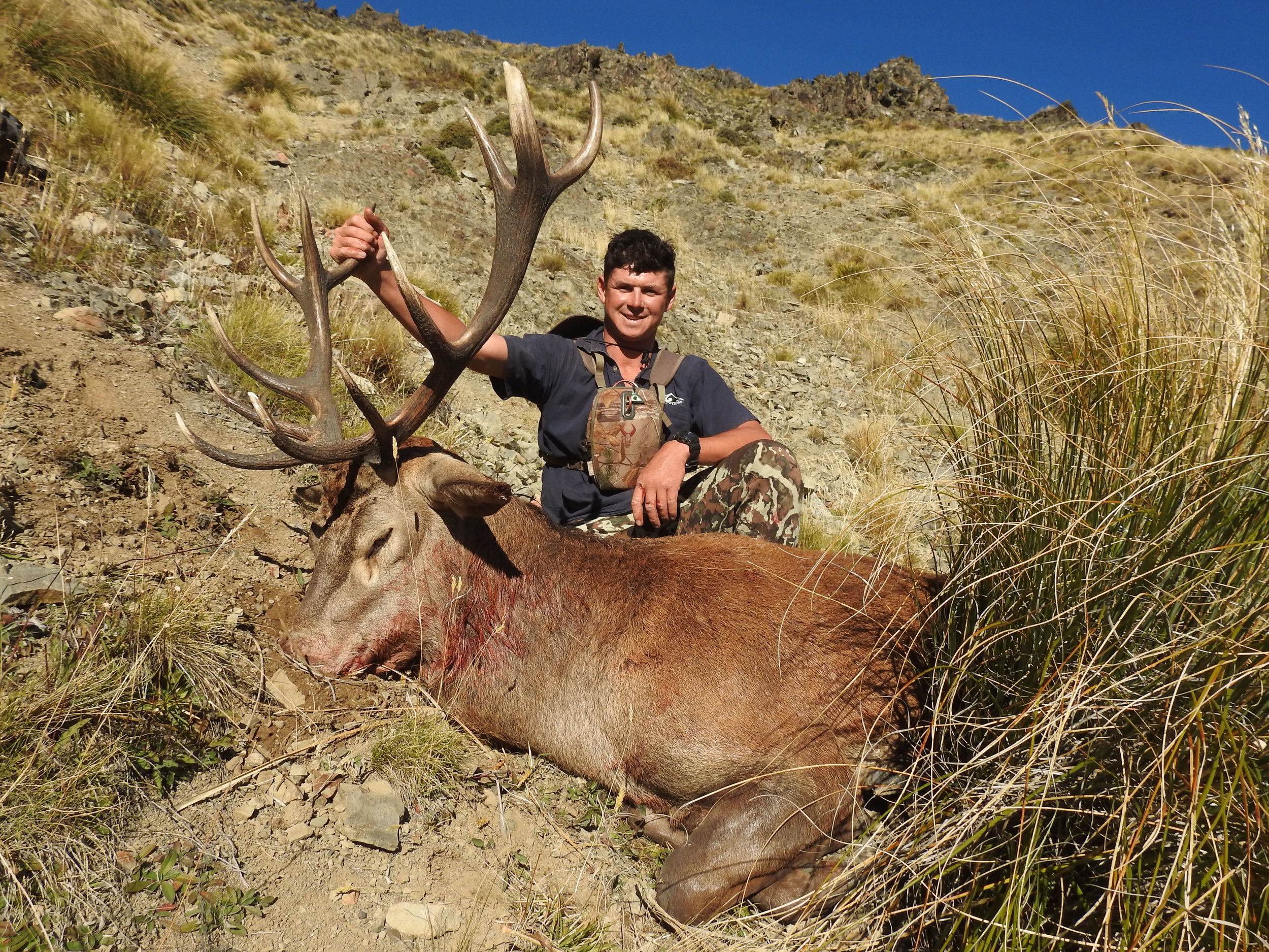 Alex Davies with another great old stag. Image @ Jarrod Mclauchlan