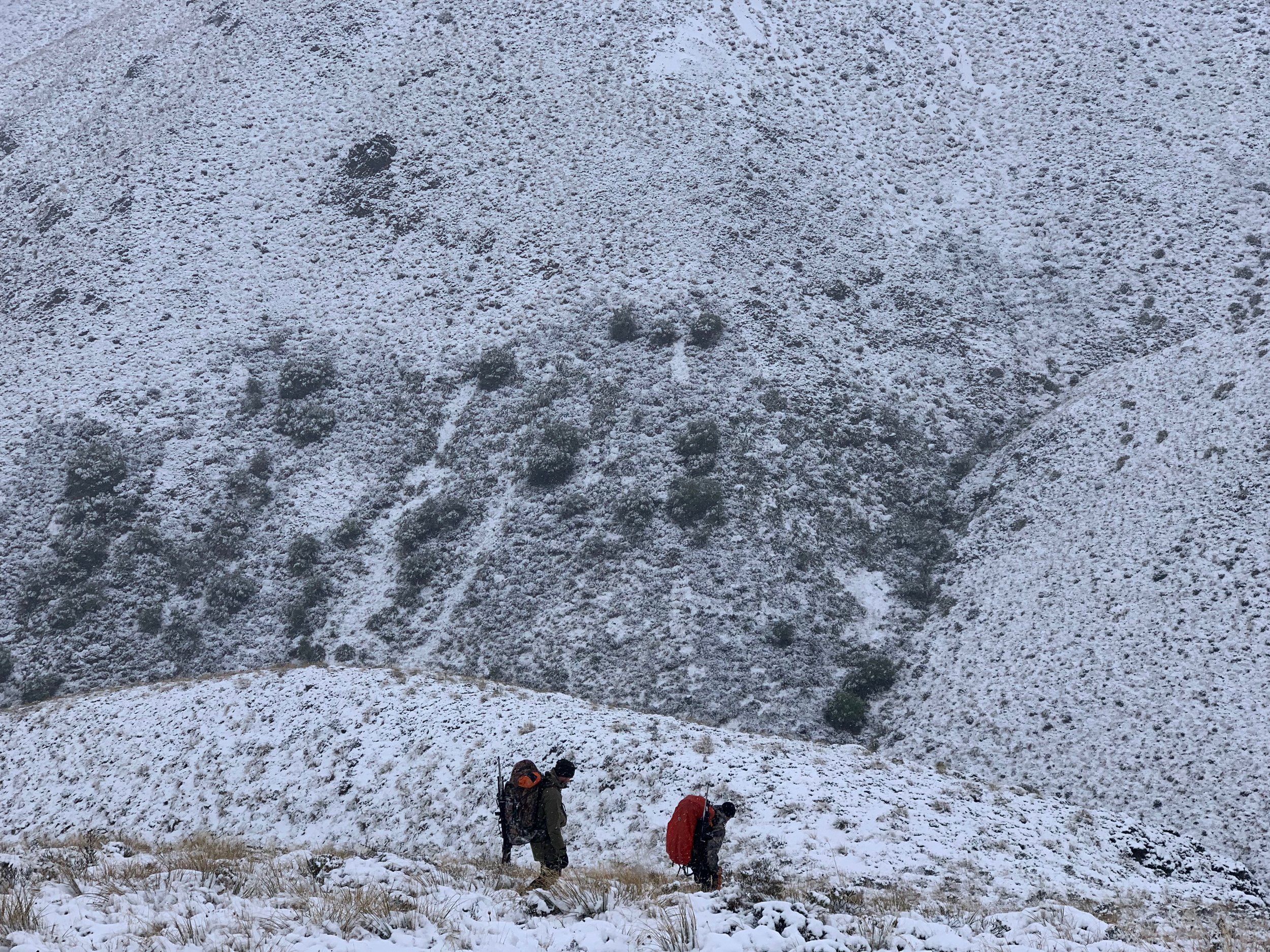 walking out in the snow