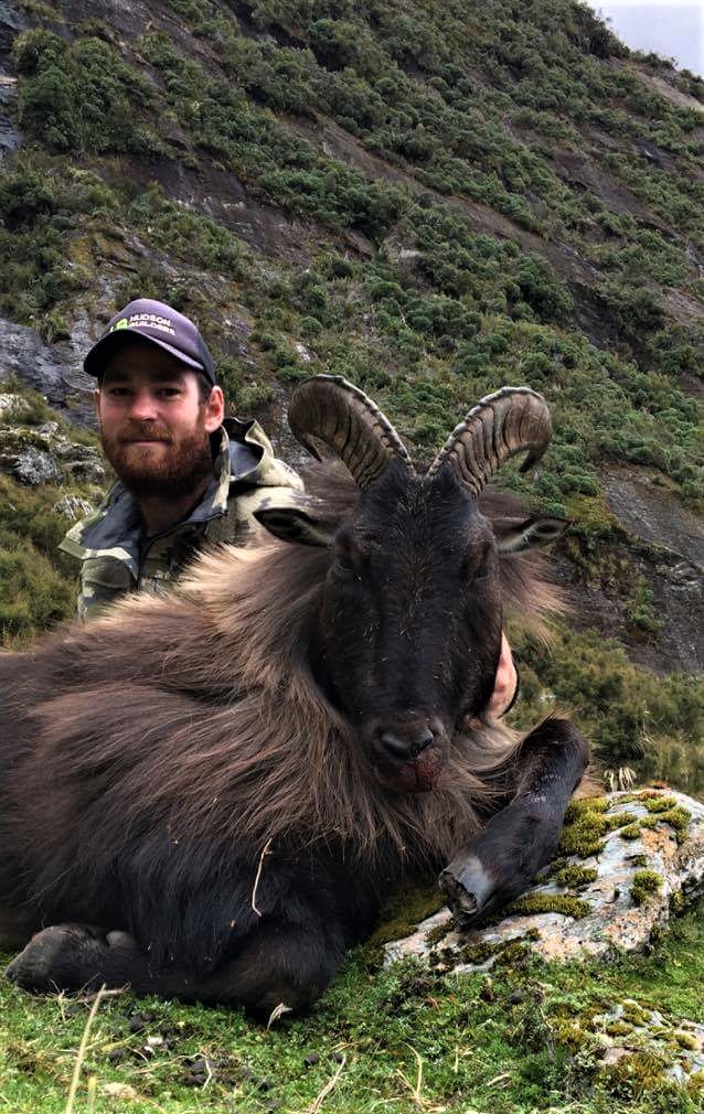  Stack of age rings on this 14”+ bull tahr taken by Sam Taylor 