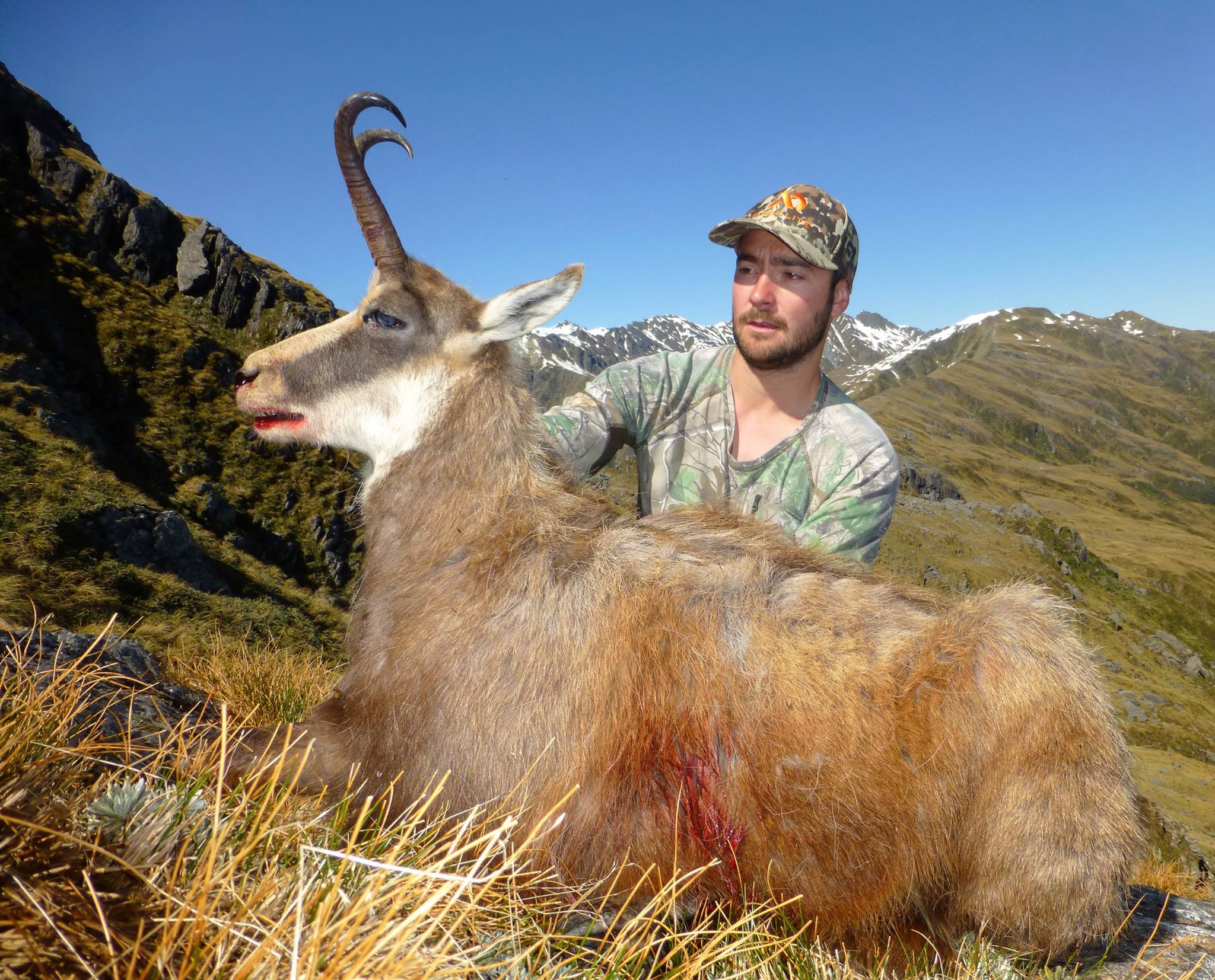 A nice old Westland buck with average hooks. Jack Parr, image @ Ewan Black
