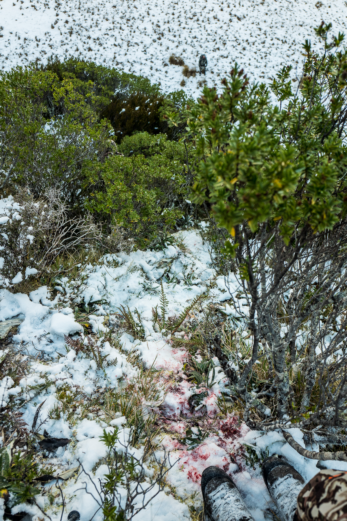  Just steep enough, note the blood trail and Tom standing on the flat at the bottom. Image @ Sean Powell 