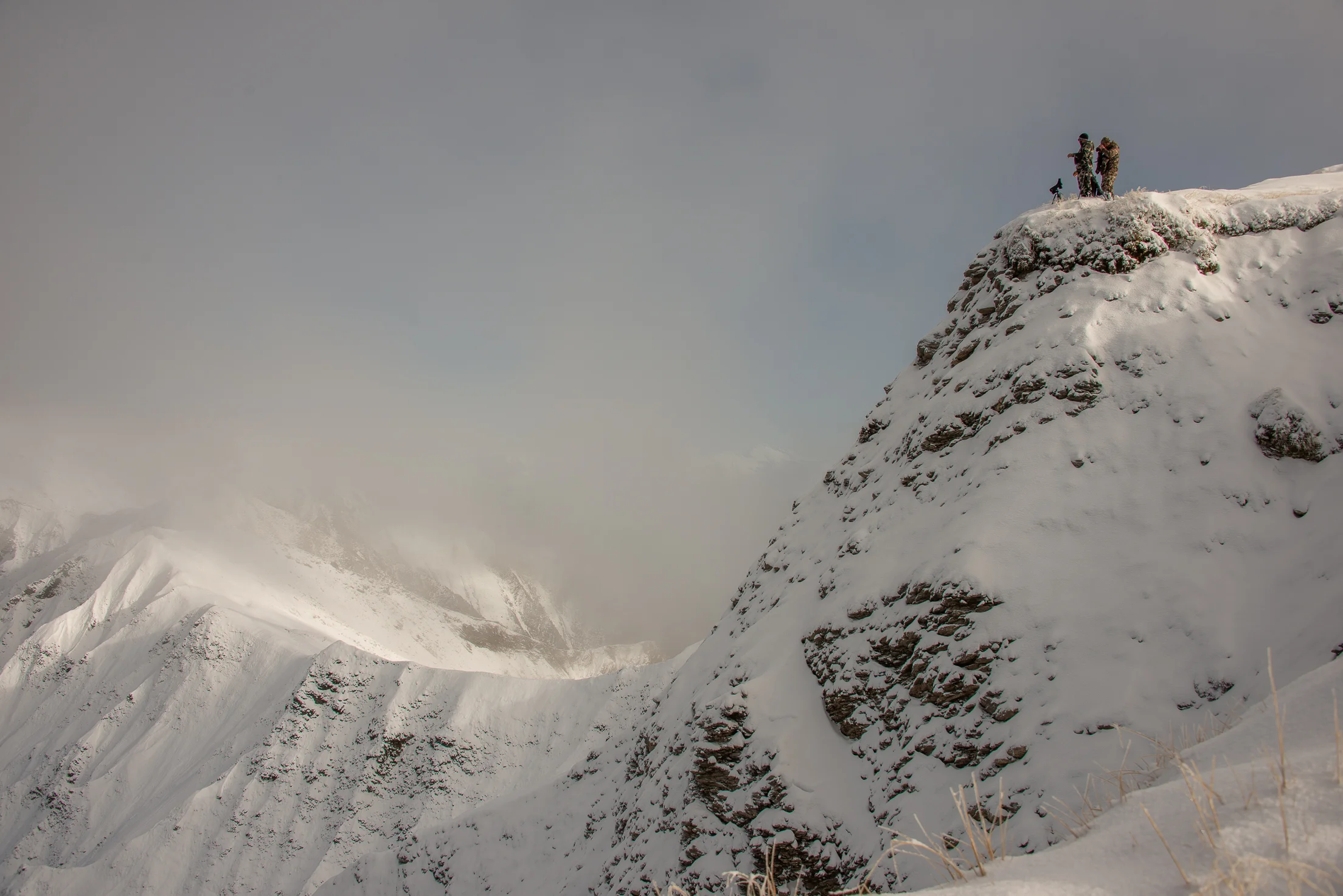 Image @ Sean Powell