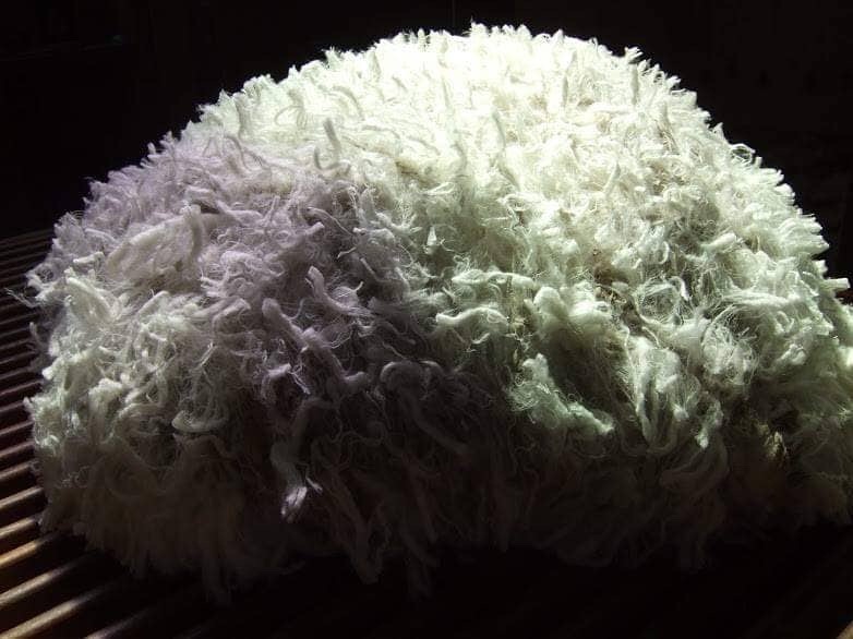 raw merino wool