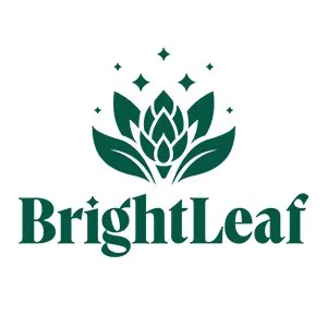 BrightLeaf Tea | Sparkling Tea with Functional Benefits