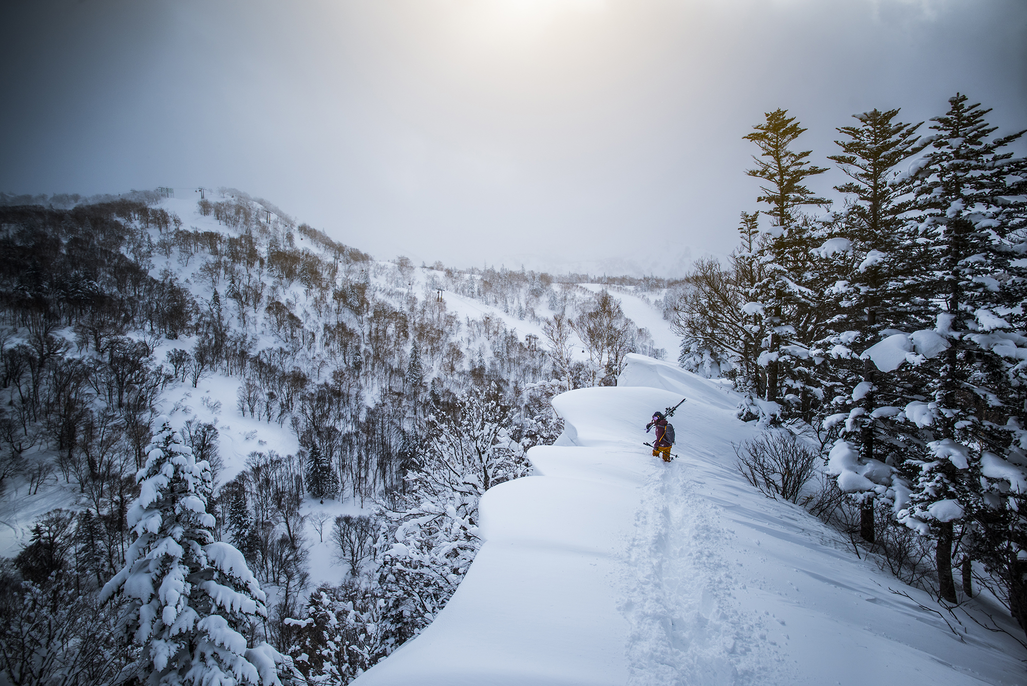  Tatum Monod. Hokkaido, Japan. Photographer: Tim Kemple. 