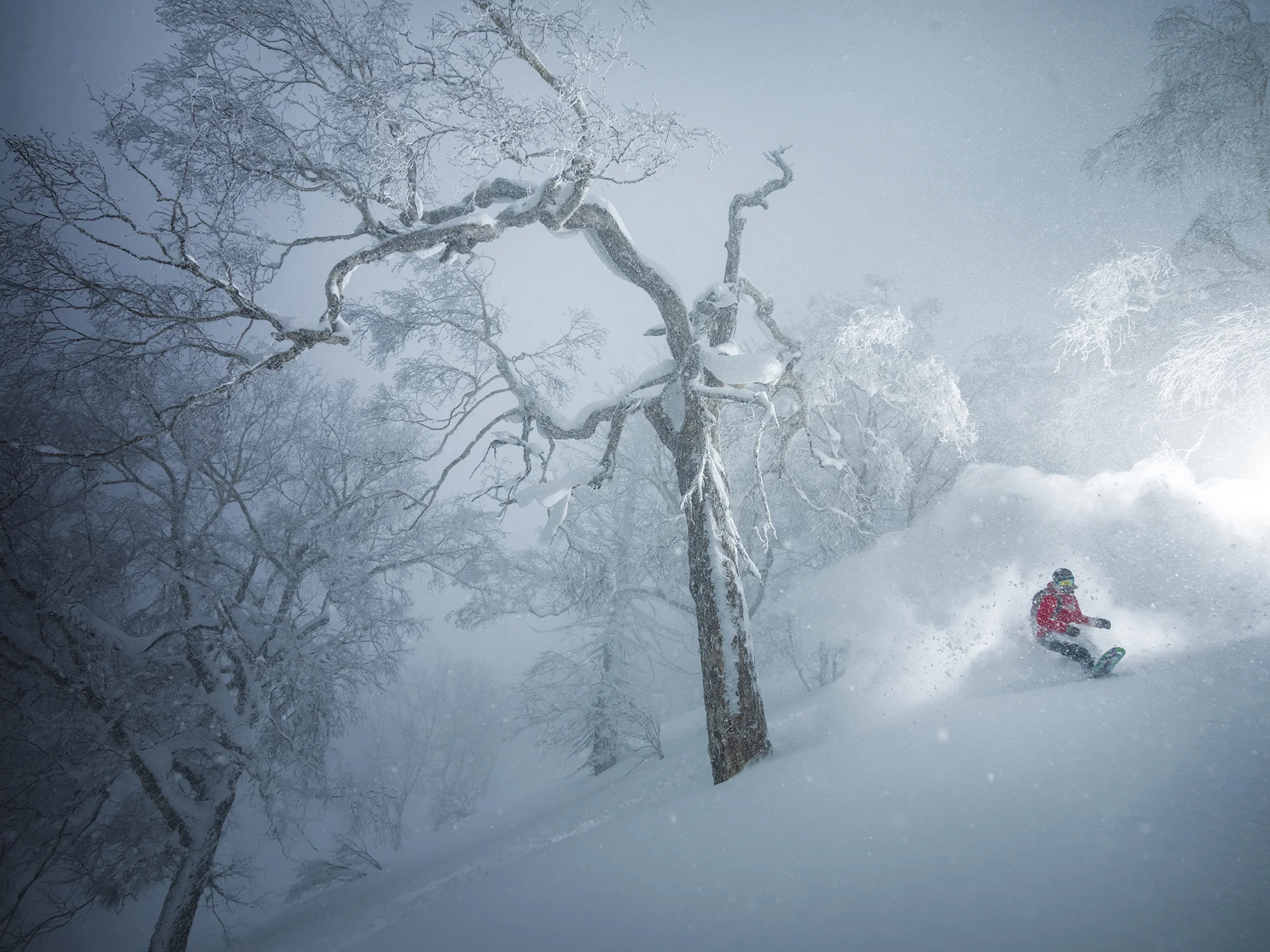 Kaitlyn Farrington. Hokkaido, Japan. Photography by Tim Kemple.