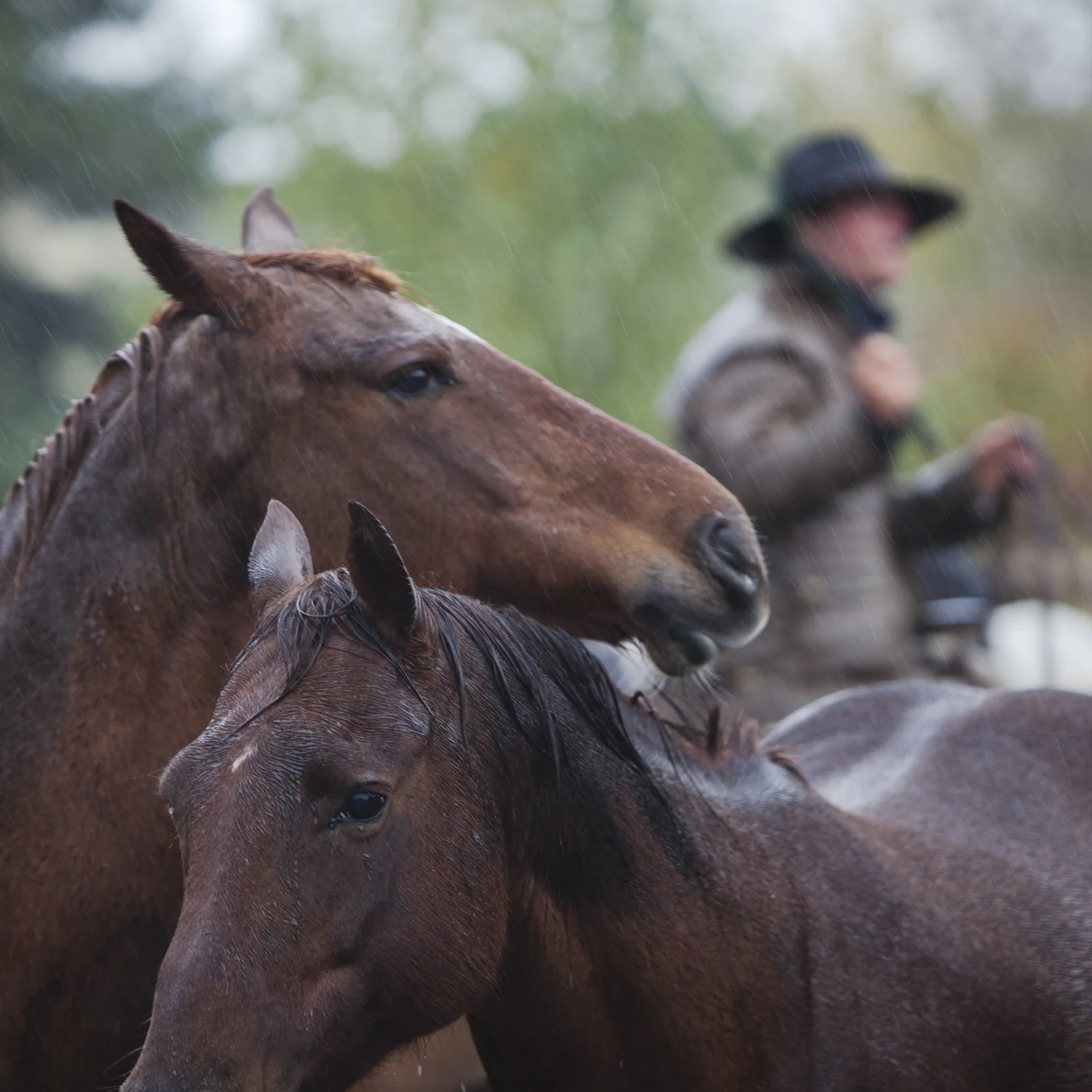 Photography for Gina TIechert's story about cowboying in Nevada.