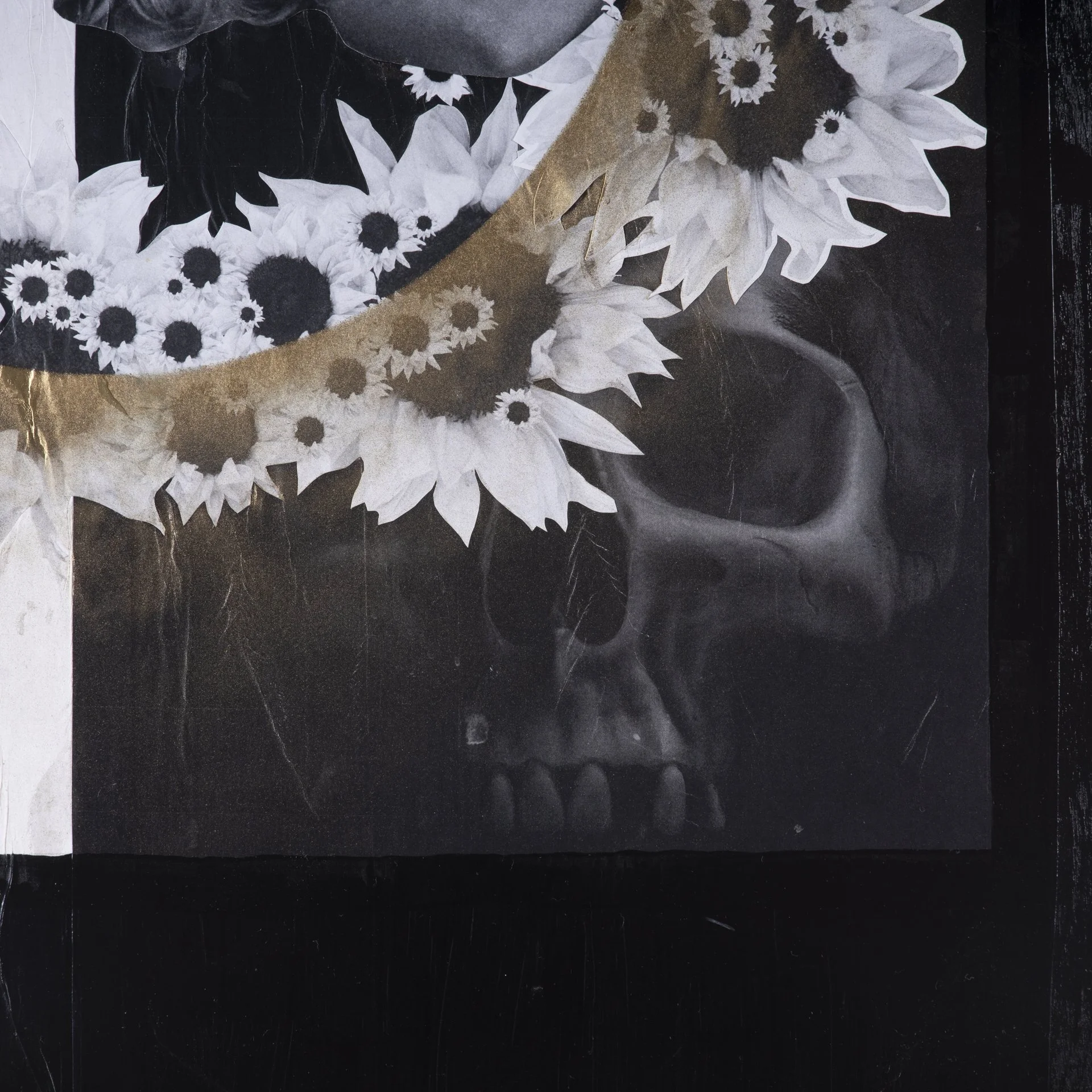 BrandonJosephBaker_DichotomyofFirstSight_Detail_DSC0048.jpg
