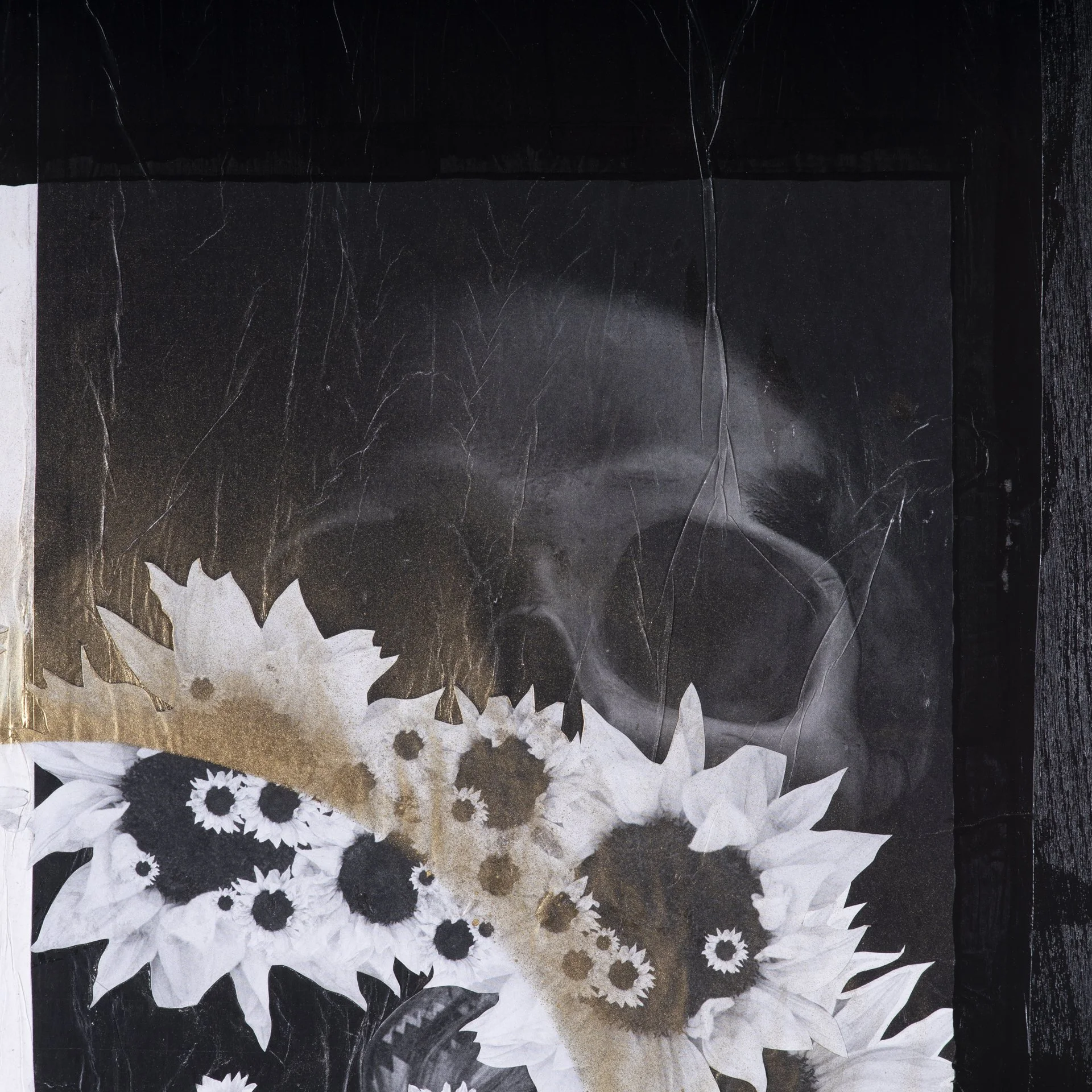 BrandonJosephBaker_DichotomyofFirstSight_Detail_DSC0045.jpg