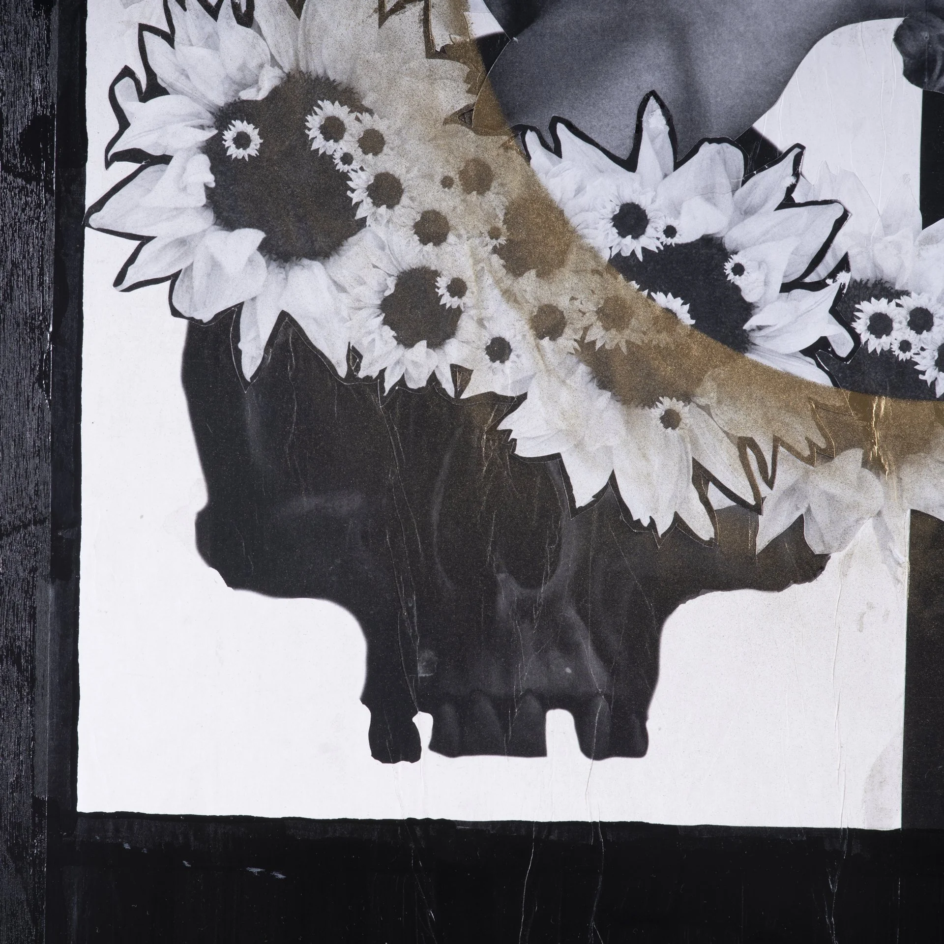 BrandonJosephBaker_DichotomyofFirstSight_Detail_DSC0047.jpg